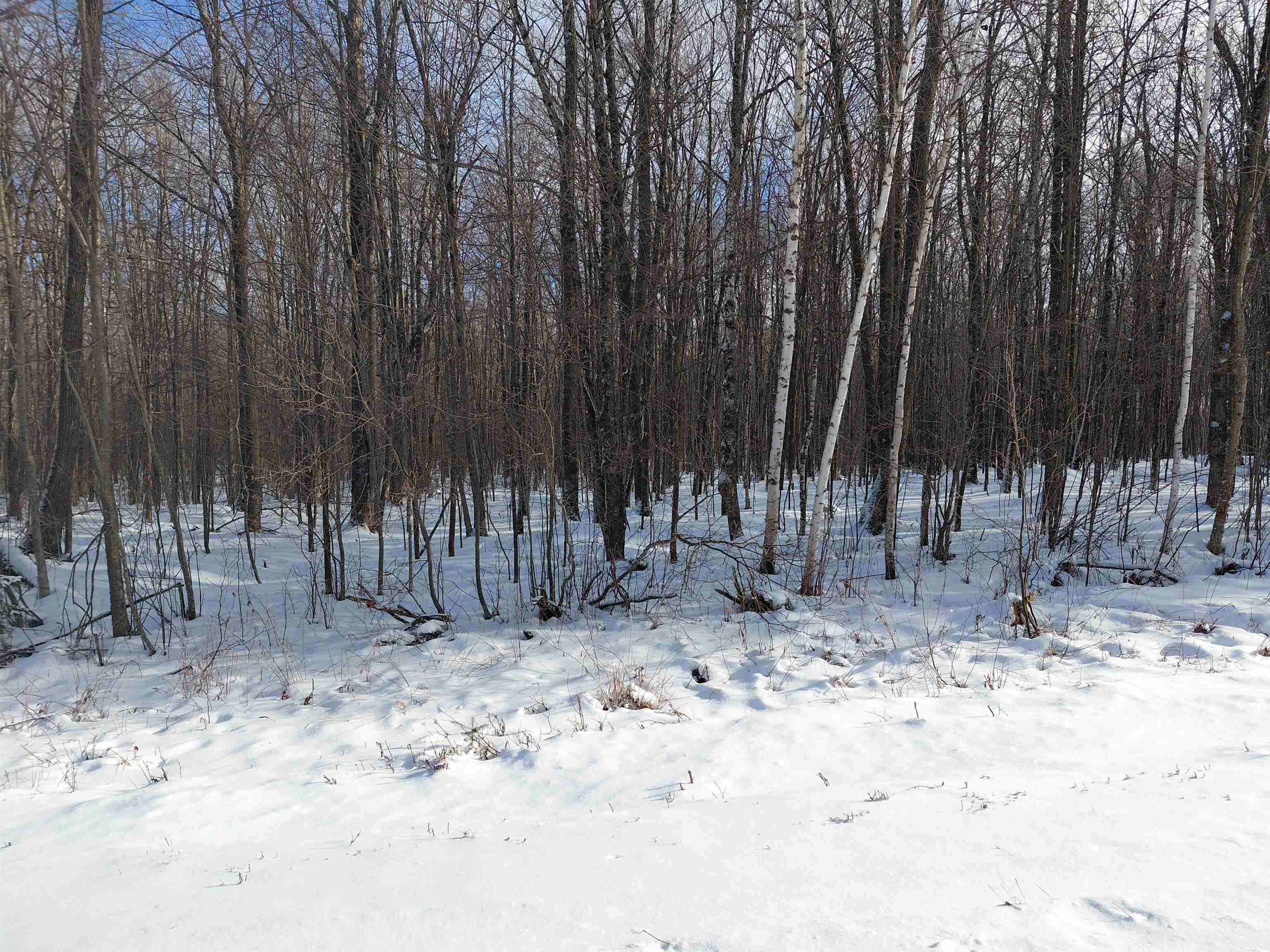 LIBERTY LANE, Kennan, Wisconsin 54537, ,Land,For Sale,LIBERTY LANE,22505773