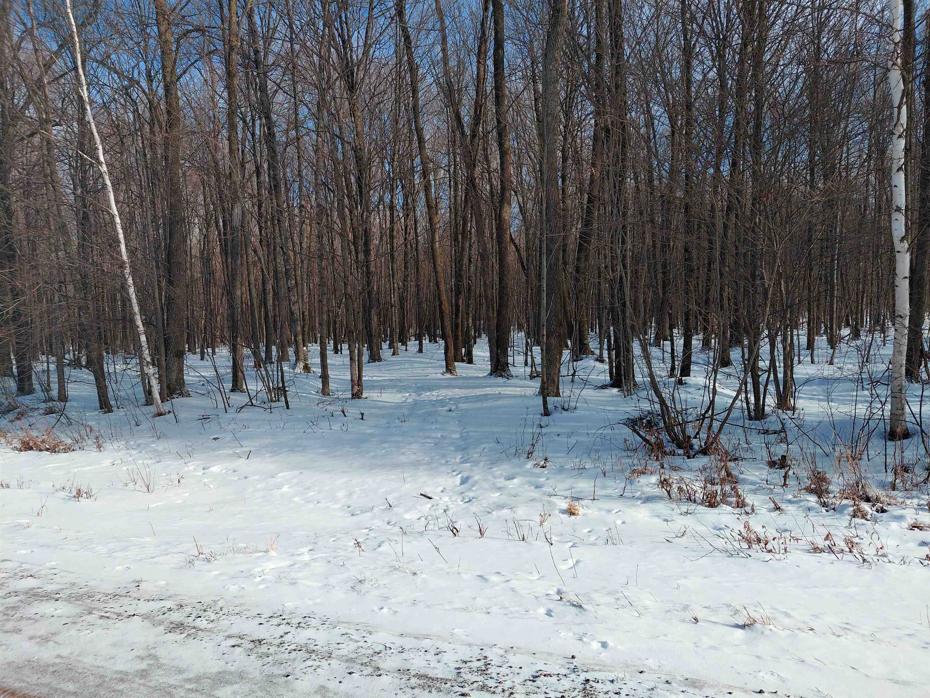 LIBERTY LANE, Kennan, Wisconsin 54537, ,Land,For Sale,LIBERTY LANE,22505773