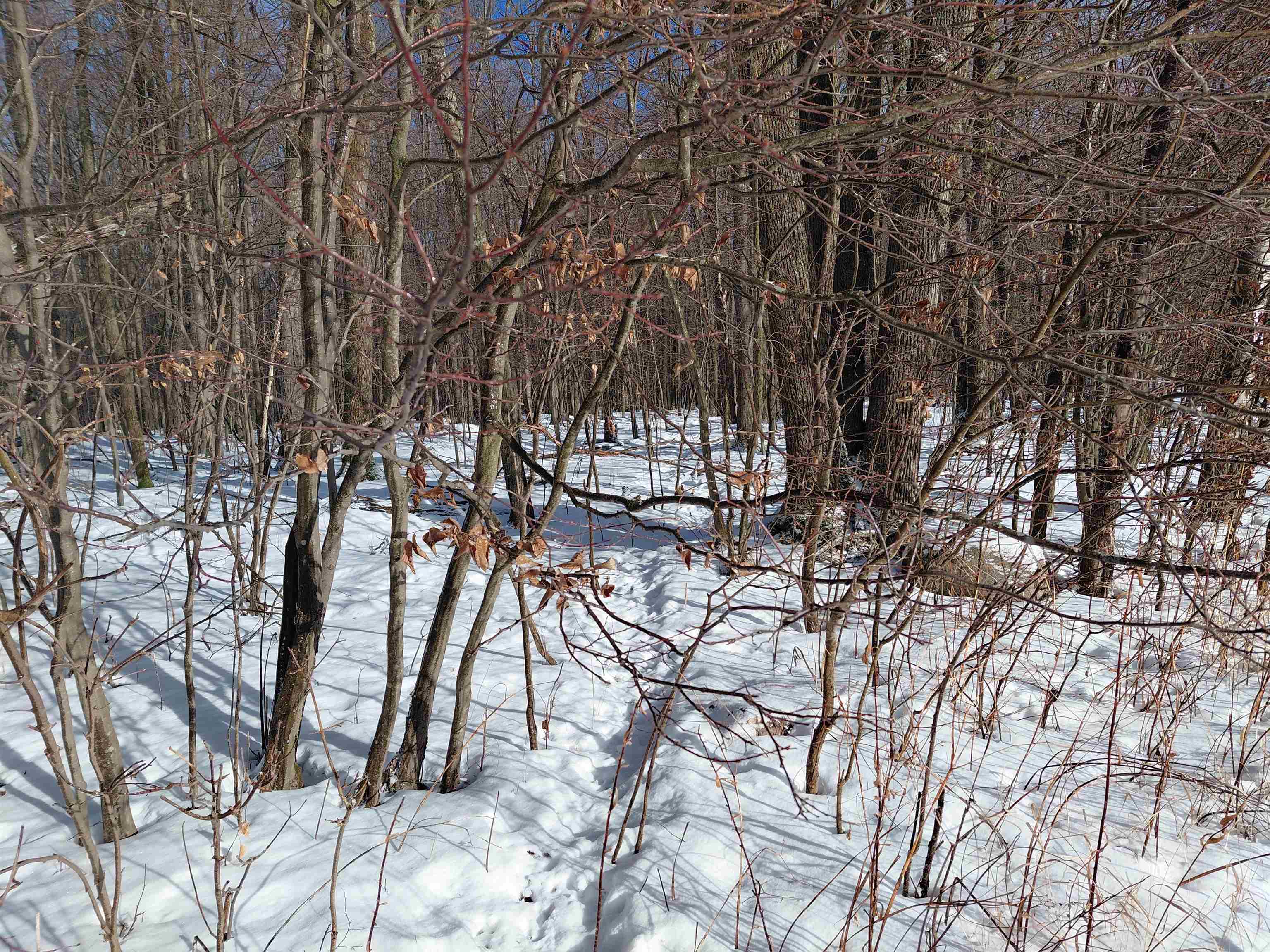 LIBERTY LANE, Kennan, Wisconsin 54537, ,Land,For Sale,LIBERTY LANE,22505773