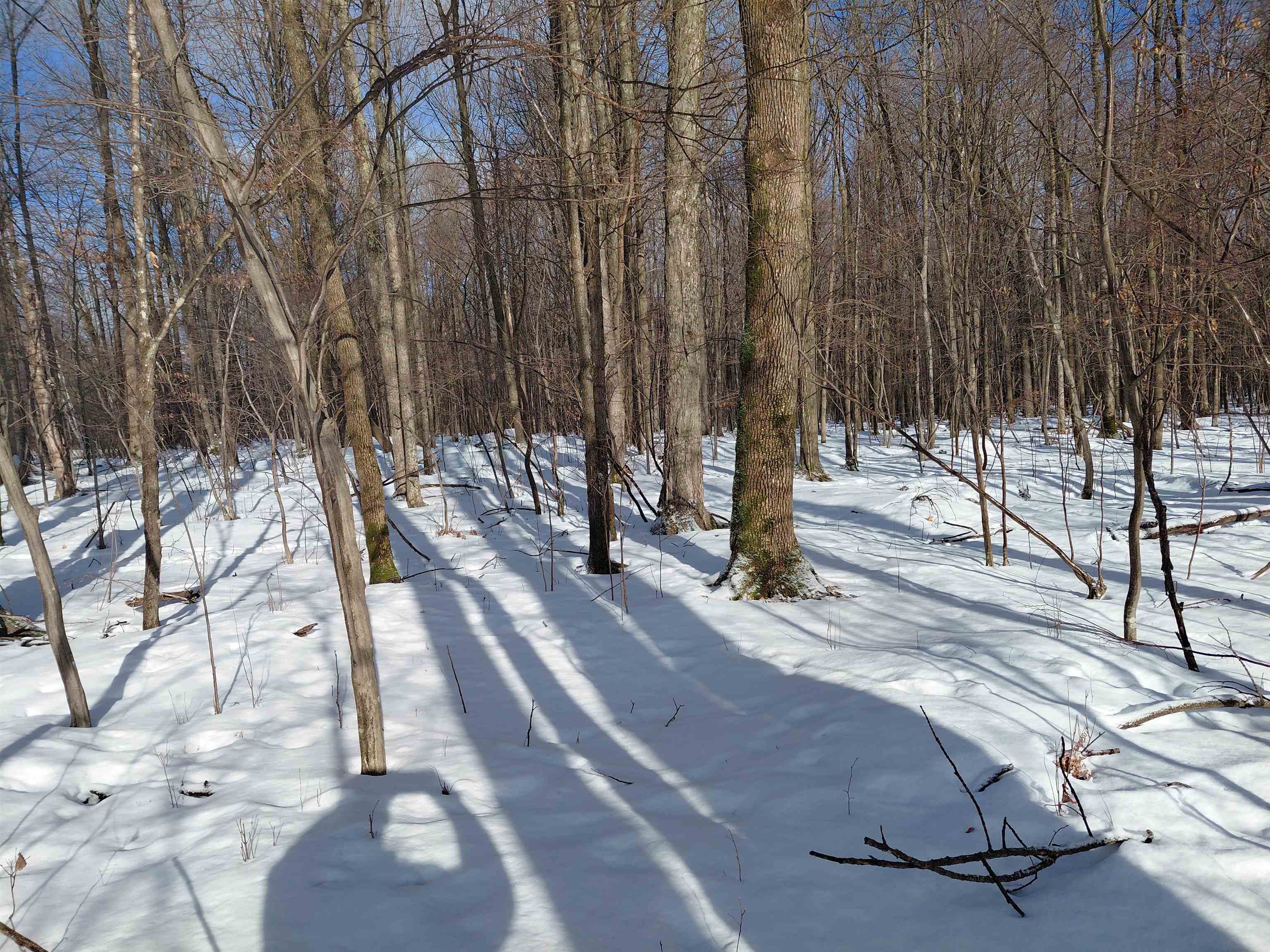 LIBERTY LANE, Kennan, Wisconsin 54537, ,Land,For Sale,LIBERTY LANE,22505773