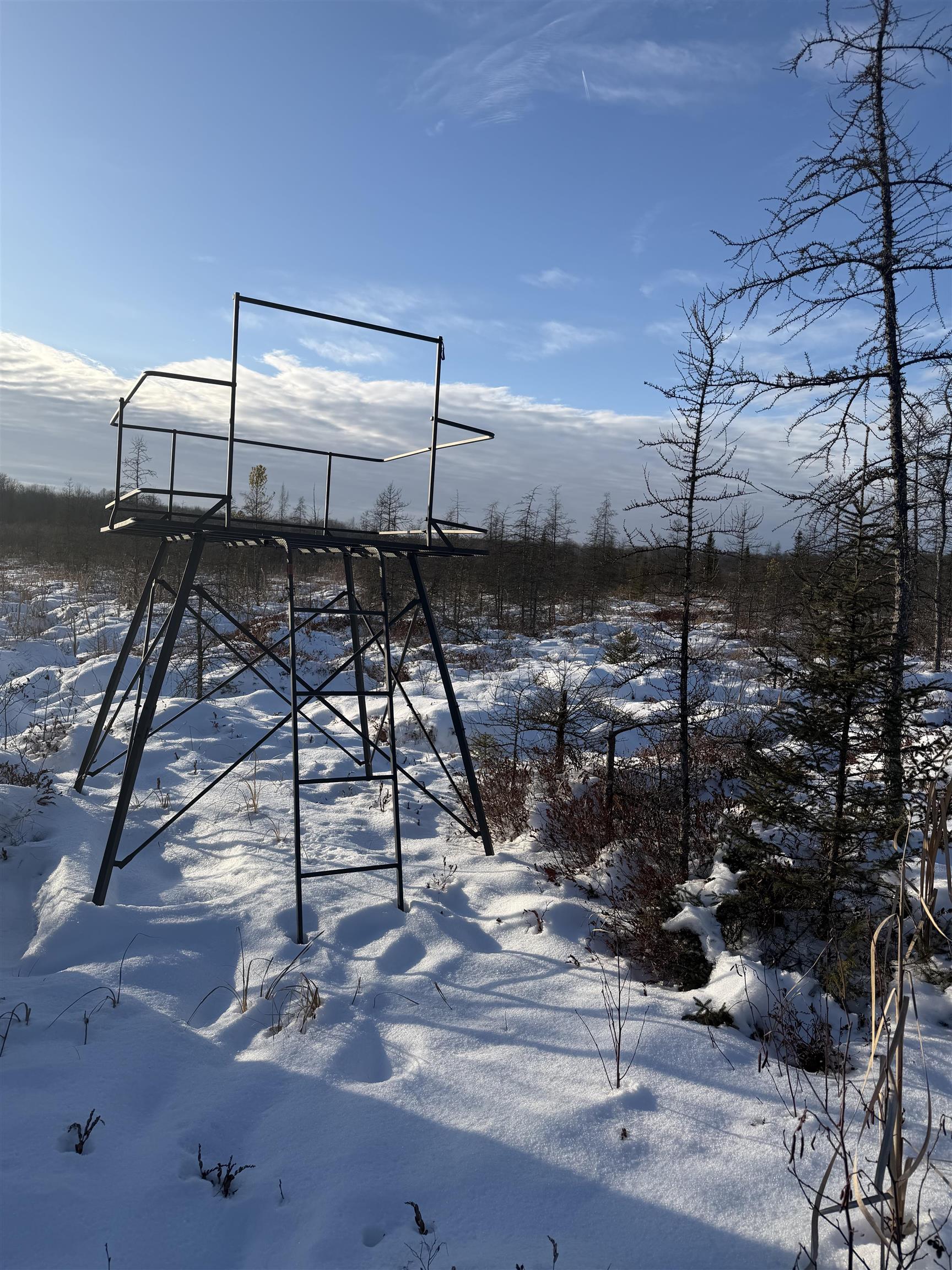 0000 SHOREY AVENUE, Weston, Wisconsin 54476, ,Land,For Sale,0000 SHOREY AVENUE,22505774