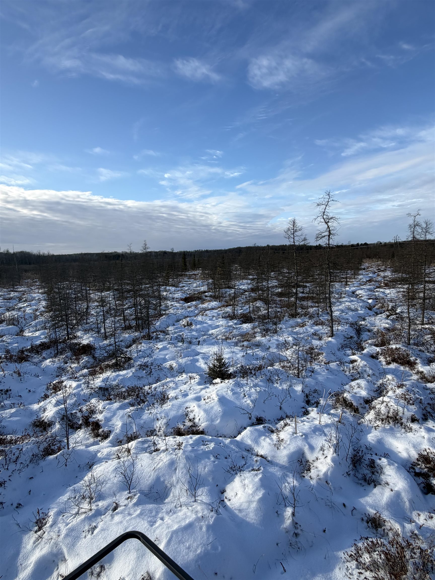 0000 SHOREY AVENUE, Weston, Wisconsin 54476, ,Land,For Sale,0000 SHOREY AVENUE,22505774