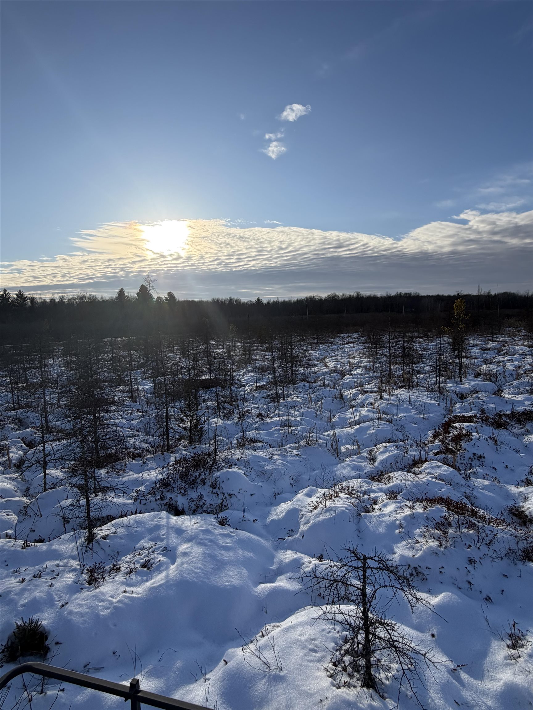 0000 SHOREY AVENUE, Weston, Wisconsin 54476, ,Land,For Sale,0000 SHOREY AVENUE,22505774