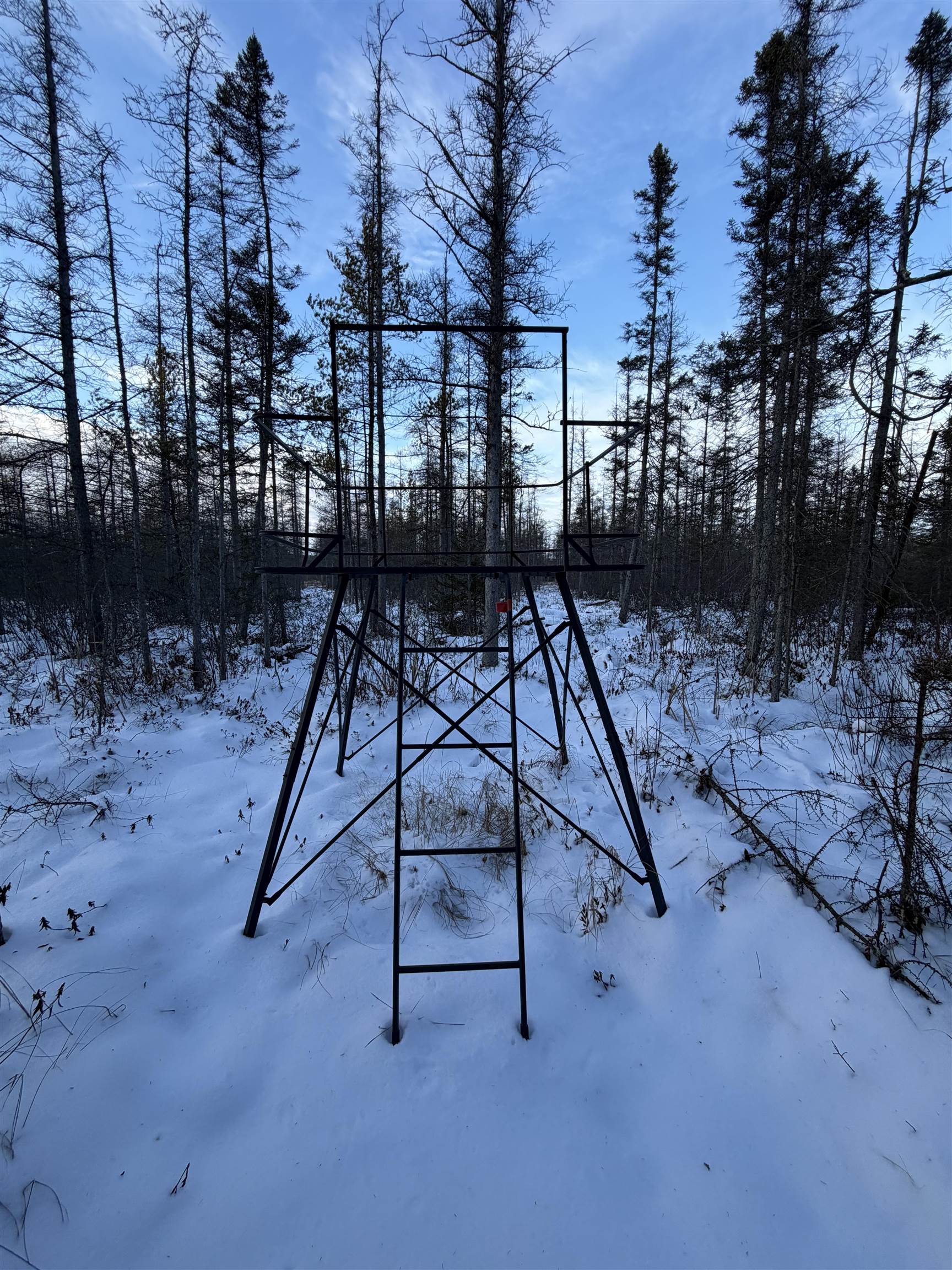 0000 SHOREY AVENUE, Weston, Wisconsin 54476, ,Land,For Sale,0000 SHOREY AVENUE,22505774