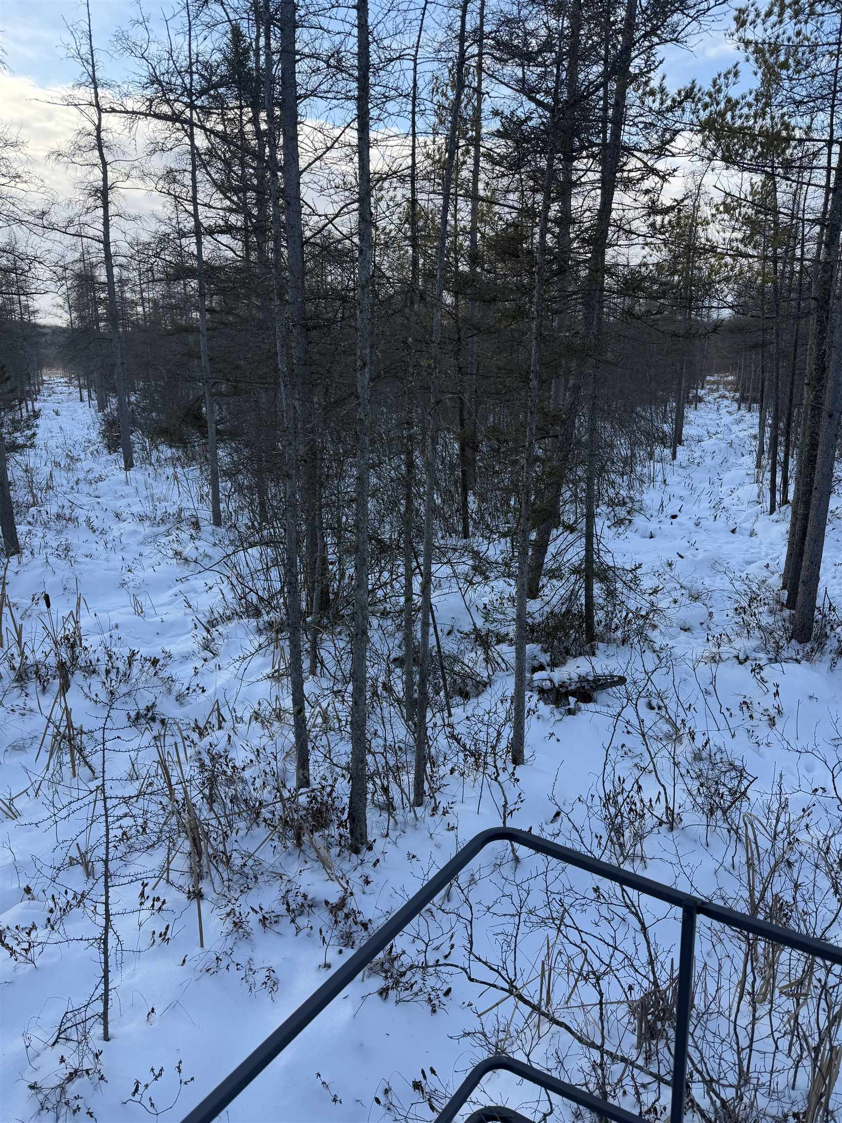 0000 SHOREY AVENUE, Weston, Wisconsin 54476, ,Land,For Sale,0000 SHOREY AVENUE,22505774