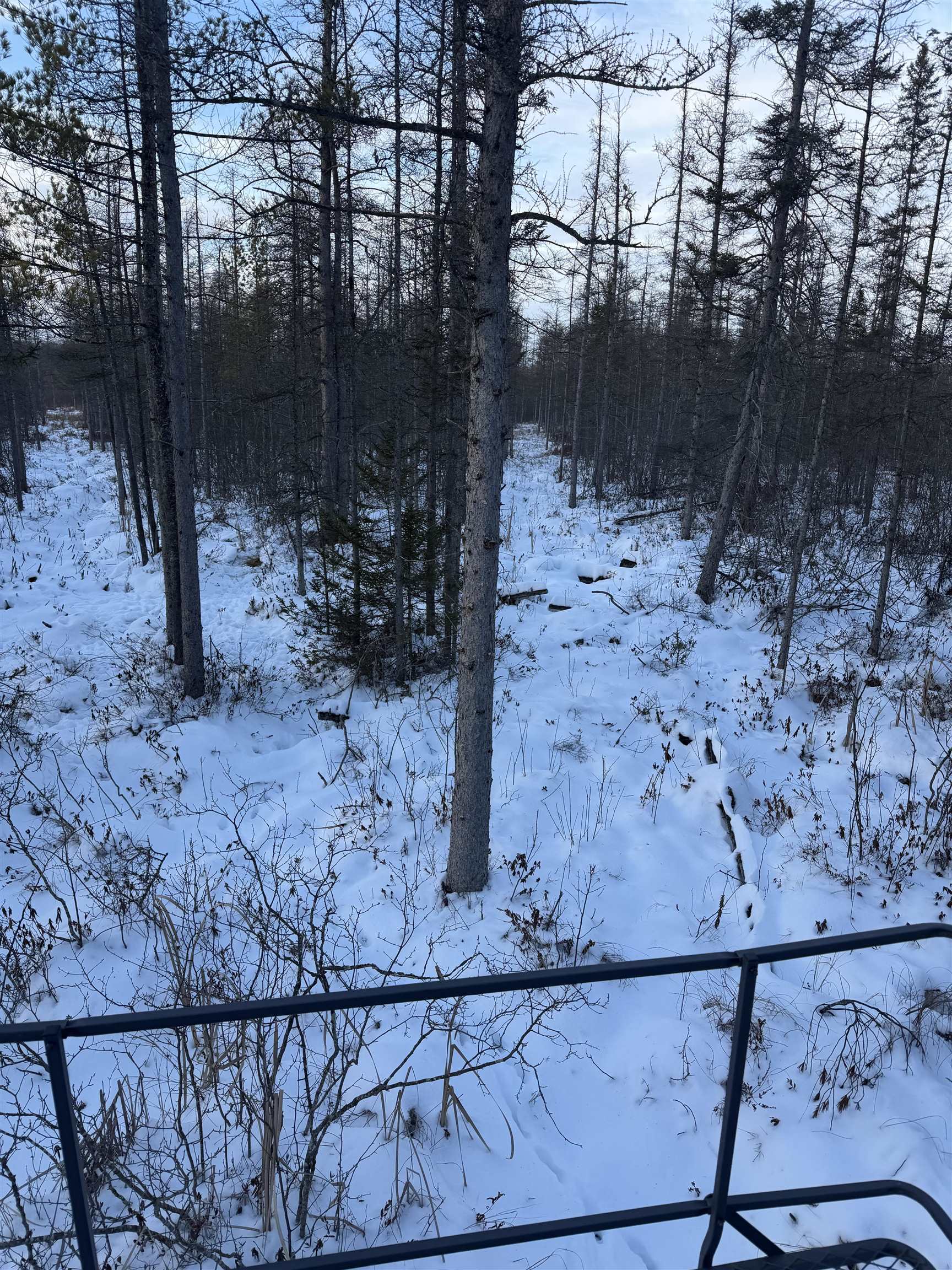 0000 SHOREY AVENUE, Weston, Wisconsin 54476, ,Land,For Sale,0000 SHOREY AVENUE,22505774