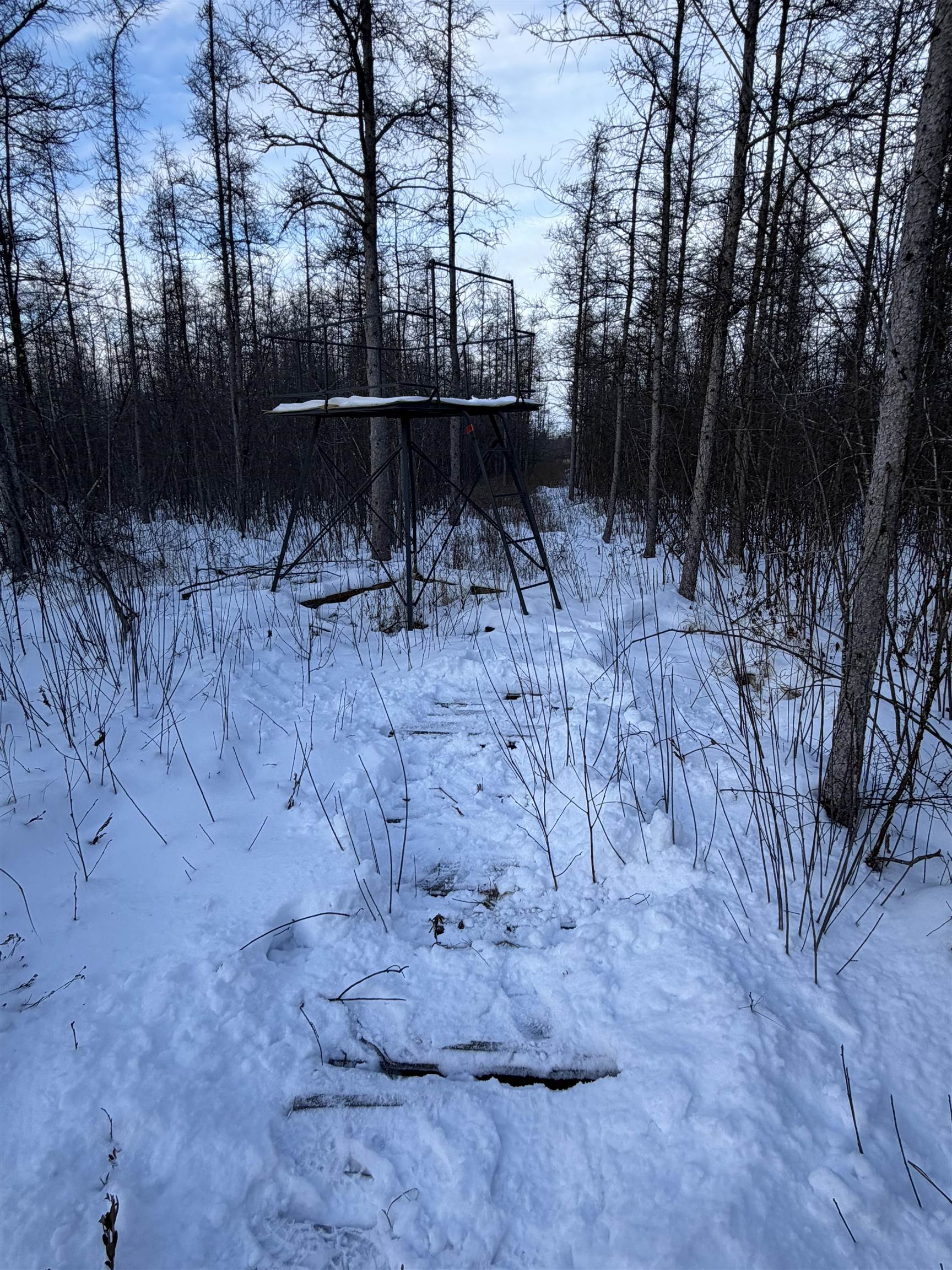 0000 SHOREY AVENUE, Weston, Wisconsin 54476, ,Land,For Sale,0000 SHOREY AVENUE,22505774