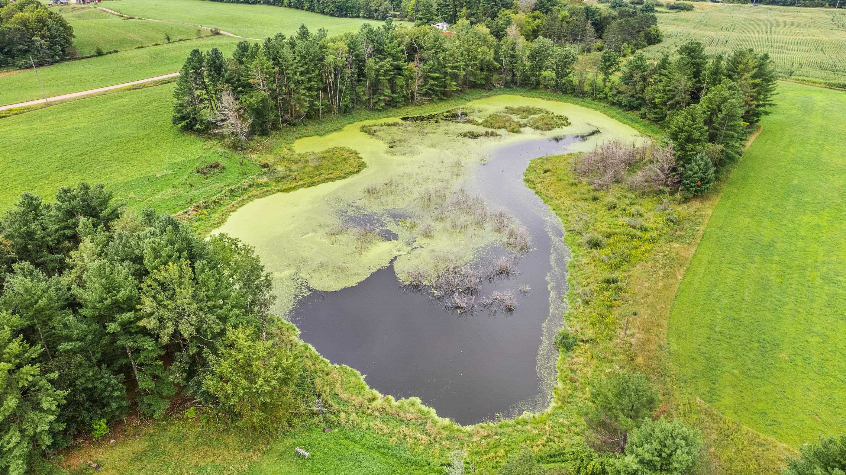 10498 E SAUMER ROAD, Rosholt, Wisconsin 54473, ,Land,For Sale,10498 E SAUMER ROAD,22505787