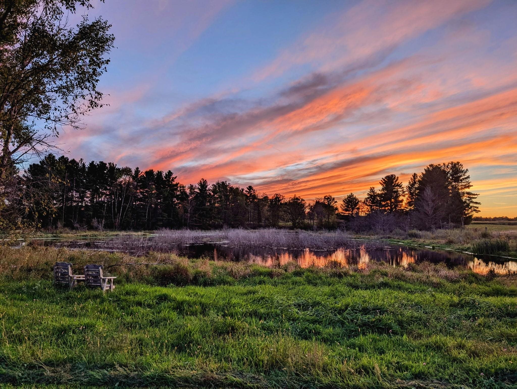 10498 E SAUMER ROAD, Rosholt, Wisconsin 54473, ,Land,For Sale,10498 E SAUMER ROAD,22505787