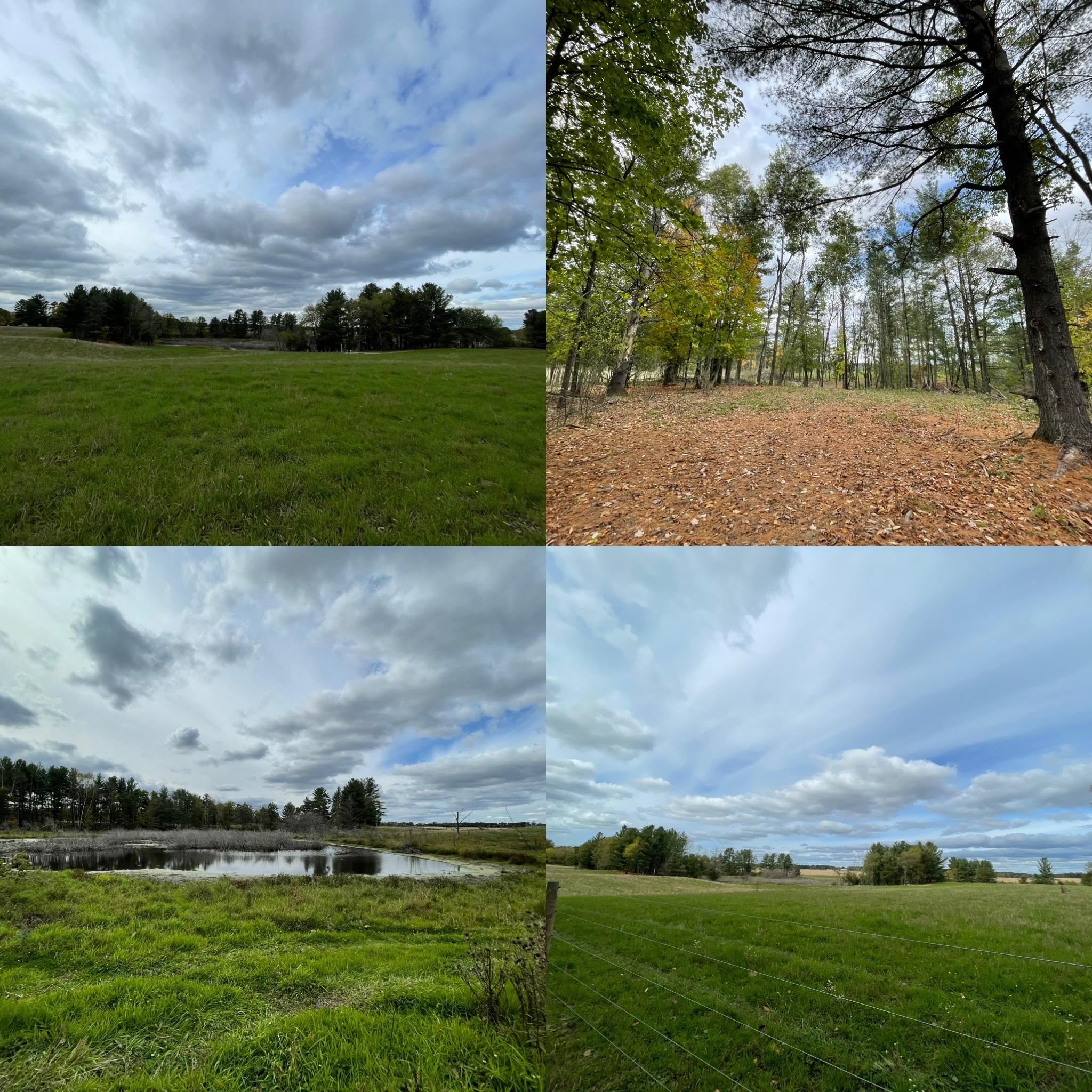 10498 E SAUMER ROAD, Rosholt, Wisconsin 54473, ,Land,For Sale,10498 E SAUMER ROAD,22505787