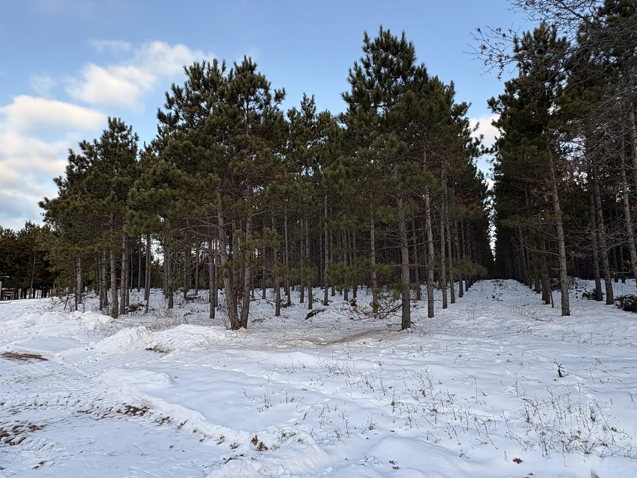 West 10 Acres WILDERNESS LANE, Wisconsin Rapids, Wisconsin 54494, ,Land,For Sale,West 10 Acres WILDERNESS LANE,22505796