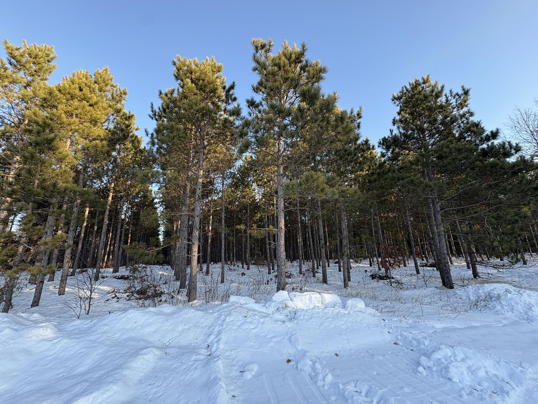 West 10 Acres WILDERNESS LANE, Wisconsin Rapids, Wisconsin 54494, ,Land,For Sale,West 10 Acres WILDERNESS LANE,22505796