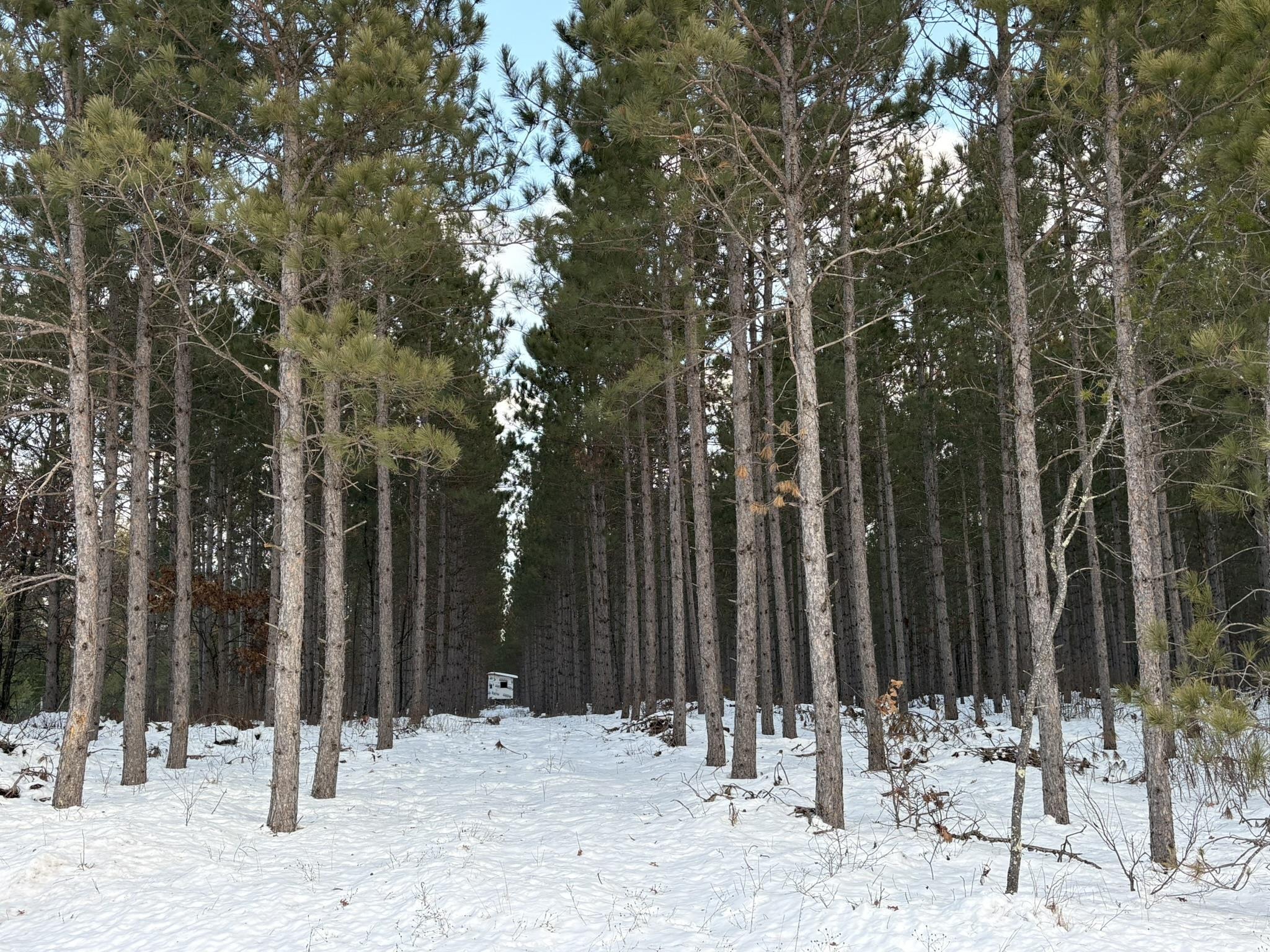 West 10 Acres WILDERNESS LANE, Wisconsin Rapids, Wisconsin 54494, ,Land,For Sale,West 10 Acres WILDERNESS LANE,22505796