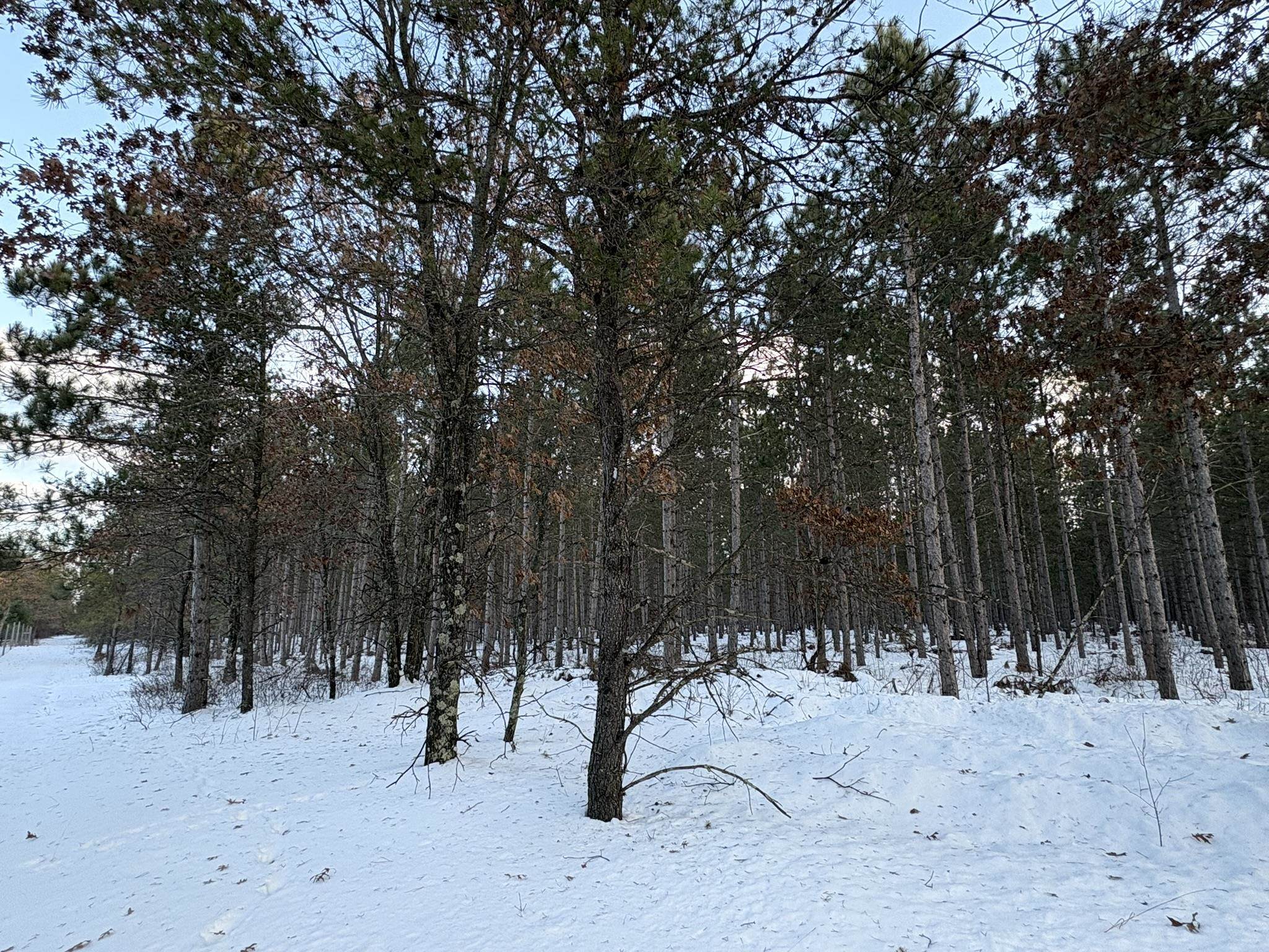 West 10 Acres WILDERNESS LANE, Wisconsin Rapids, Wisconsin 54494, ,Land,For Sale,West 10 Acres WILDERNESS LANE,22505796
