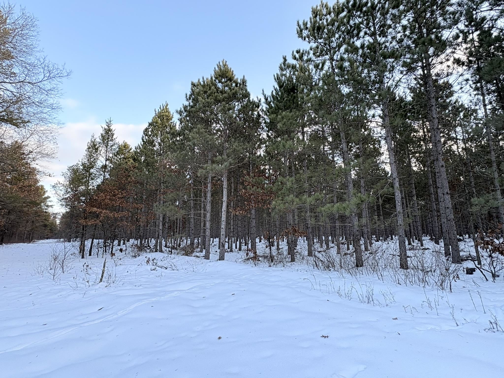 West 10 Acres WILDERNESS LANE, Wisconsin Rapids, Wisconsin 54494, ,Land,For Sale,West 10 Acres WILDERNESS LANE,22505796