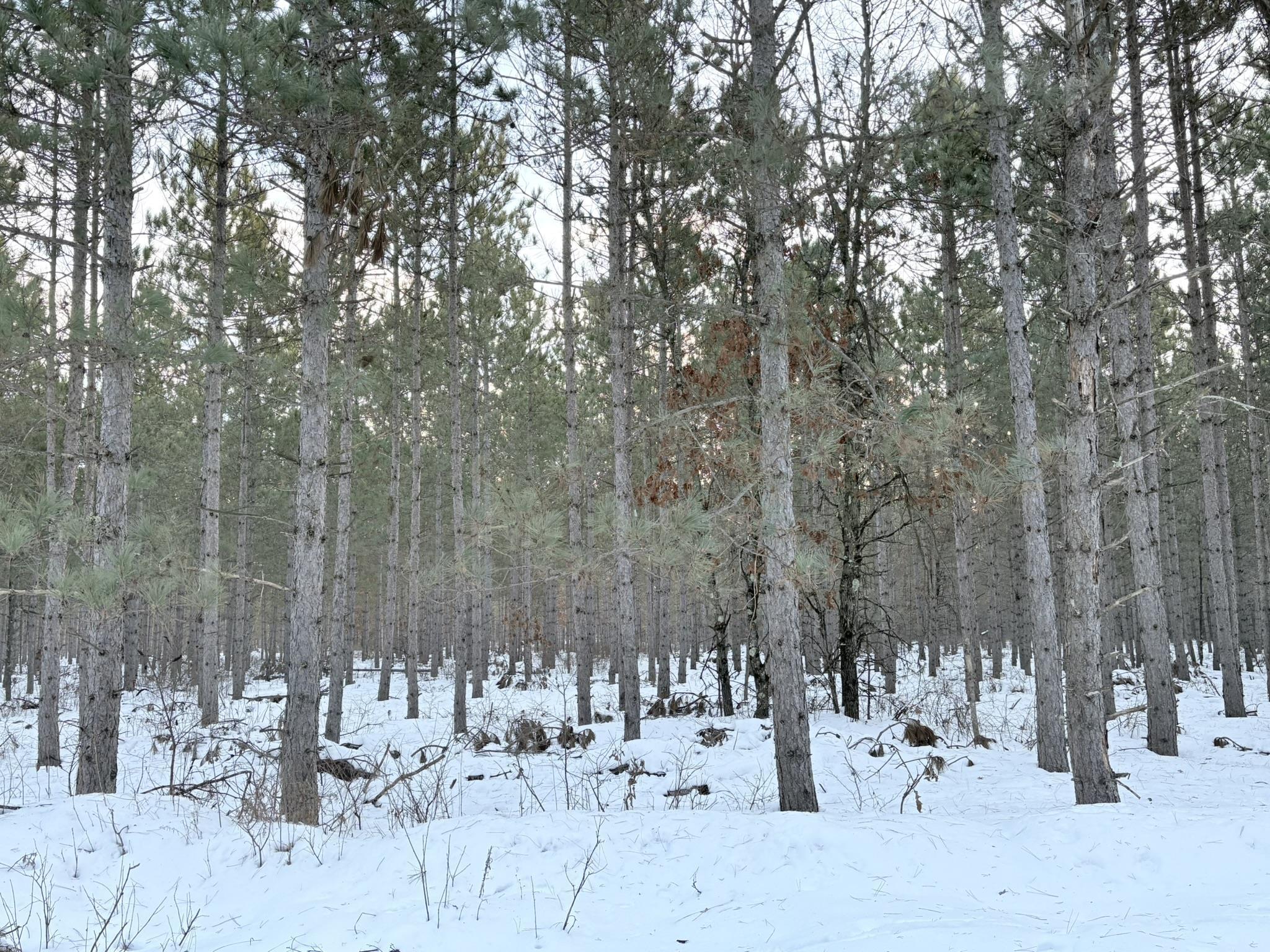 West 10 Acres WILDERNESS LANE, Wisconsin Rapids, Wisconsin 54494, ,Land,For Sale,West 10 Acres WILDERNESS LANE,22505796