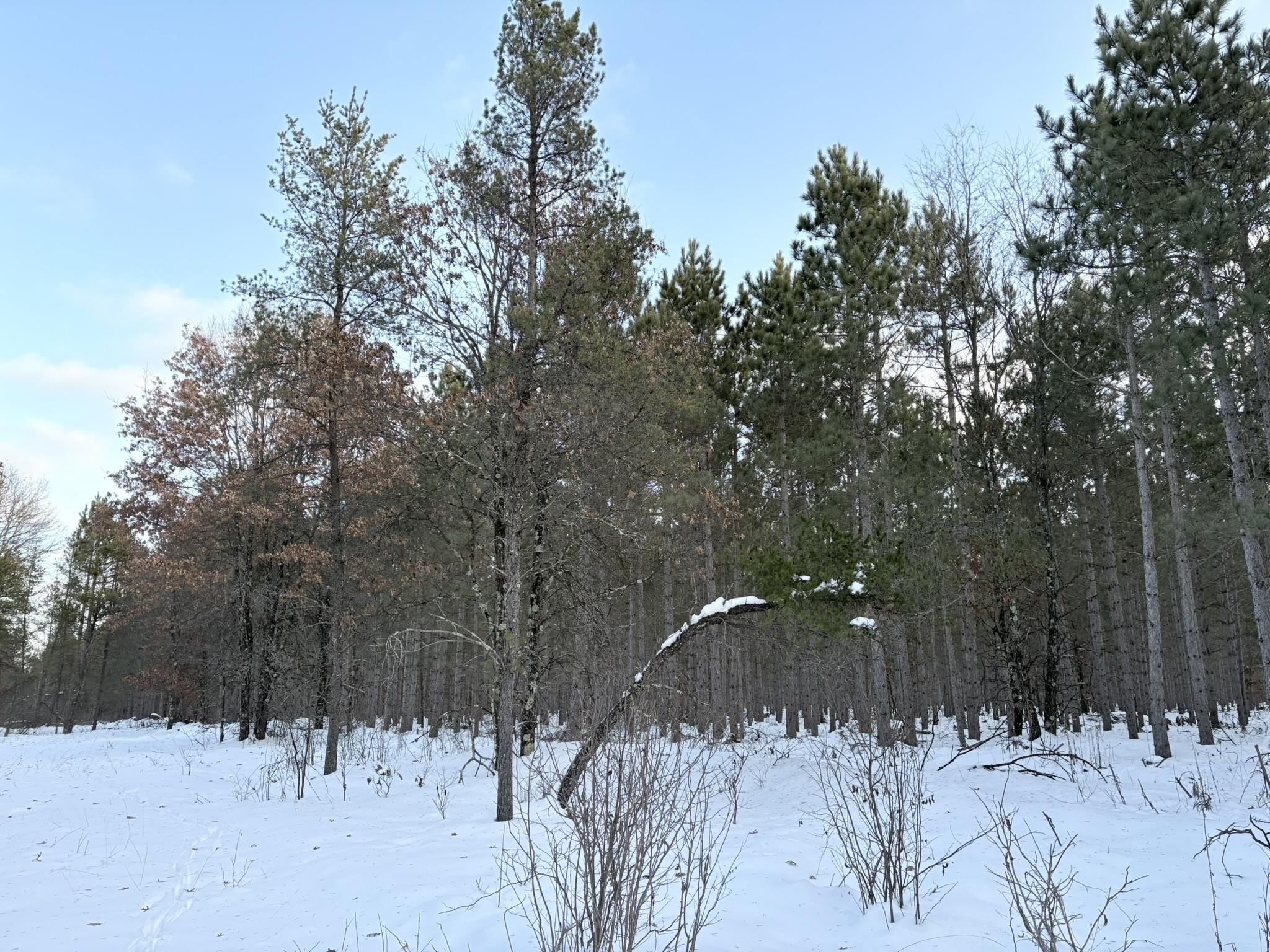 West 10 Acres WILDERNESS LANE, Wisconsin Rapids, Wisconsin 54494, ,Land,For Sale,West 10 Acres WILDERNESS LANE,22505796