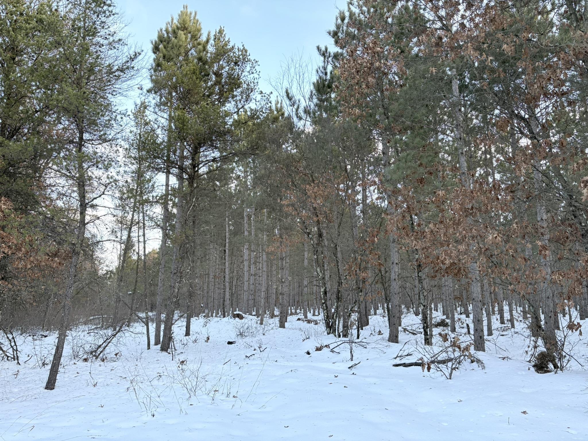 West 10 Acres WILDERNESS LANE, Wisconsin Rapids, Wisconsin 54494, ,Land,For Sale,West 10 Acres WILDERNESS LANE,22505796