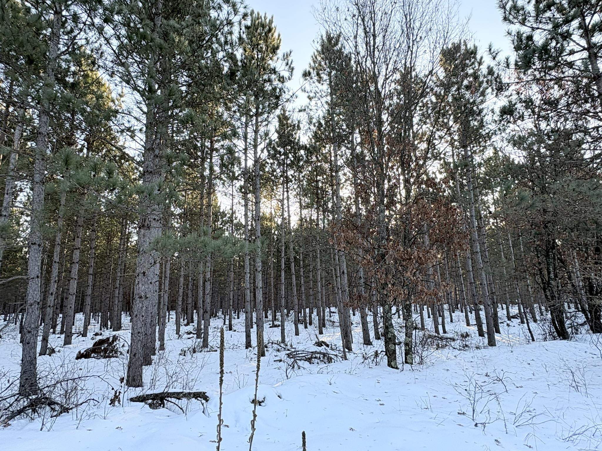 West 10 Acres WILDERNESS LANE, Wisconsin Rapids, Wisconsin 54494, ,Land,For Sale,West 10 Acres WILDERNESS LANE,22505796