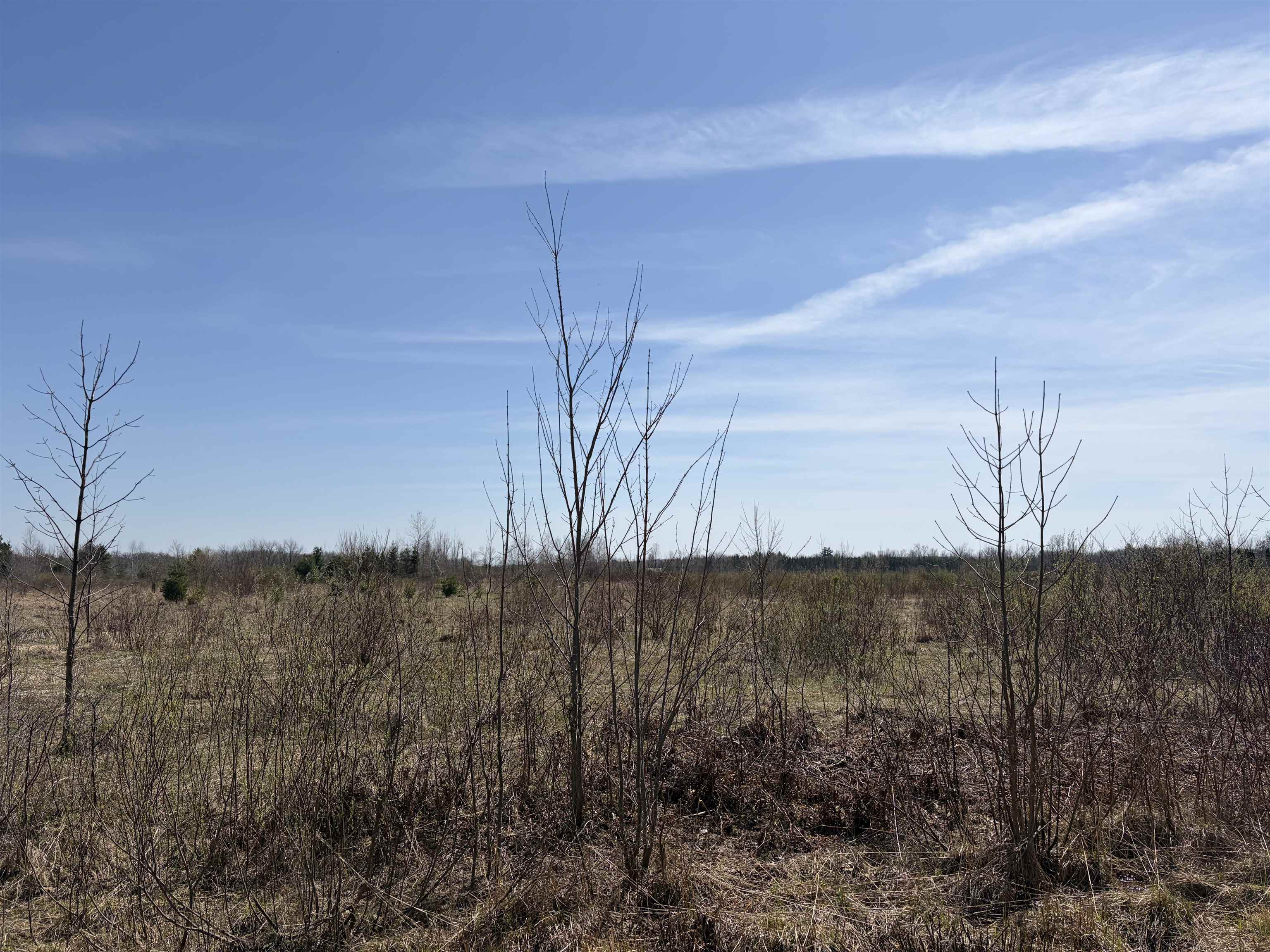 33.69 MOL 26TH ROAD, Marshfield, Wisconsin 54449, ,Land,For Sale,33.69 MOL 26TH ROAD,22505809