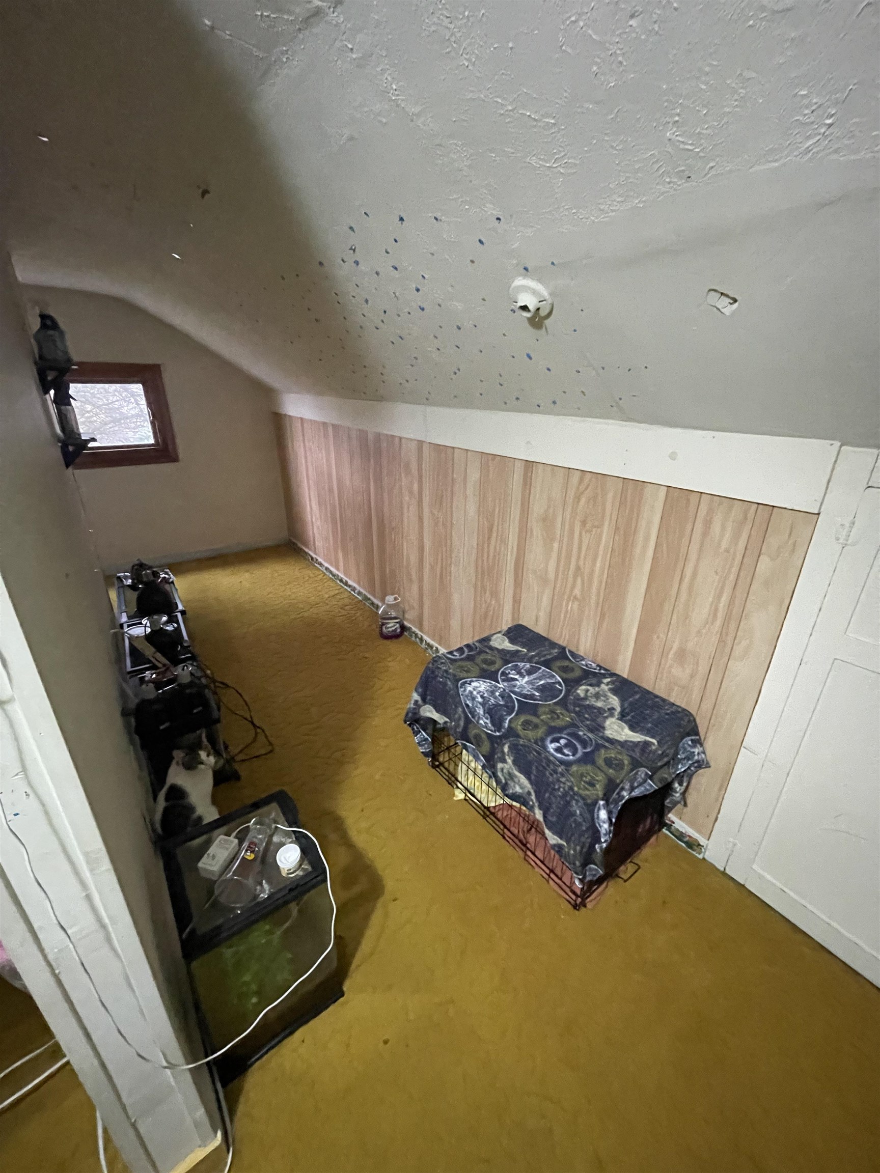 401 2ND STREET, Withee, Wisconsin 54498, 2 Bedrooms Bedrooms, ,1 BathroomBathrooms,Residential,For Sale,401 2ND STREET,22505826