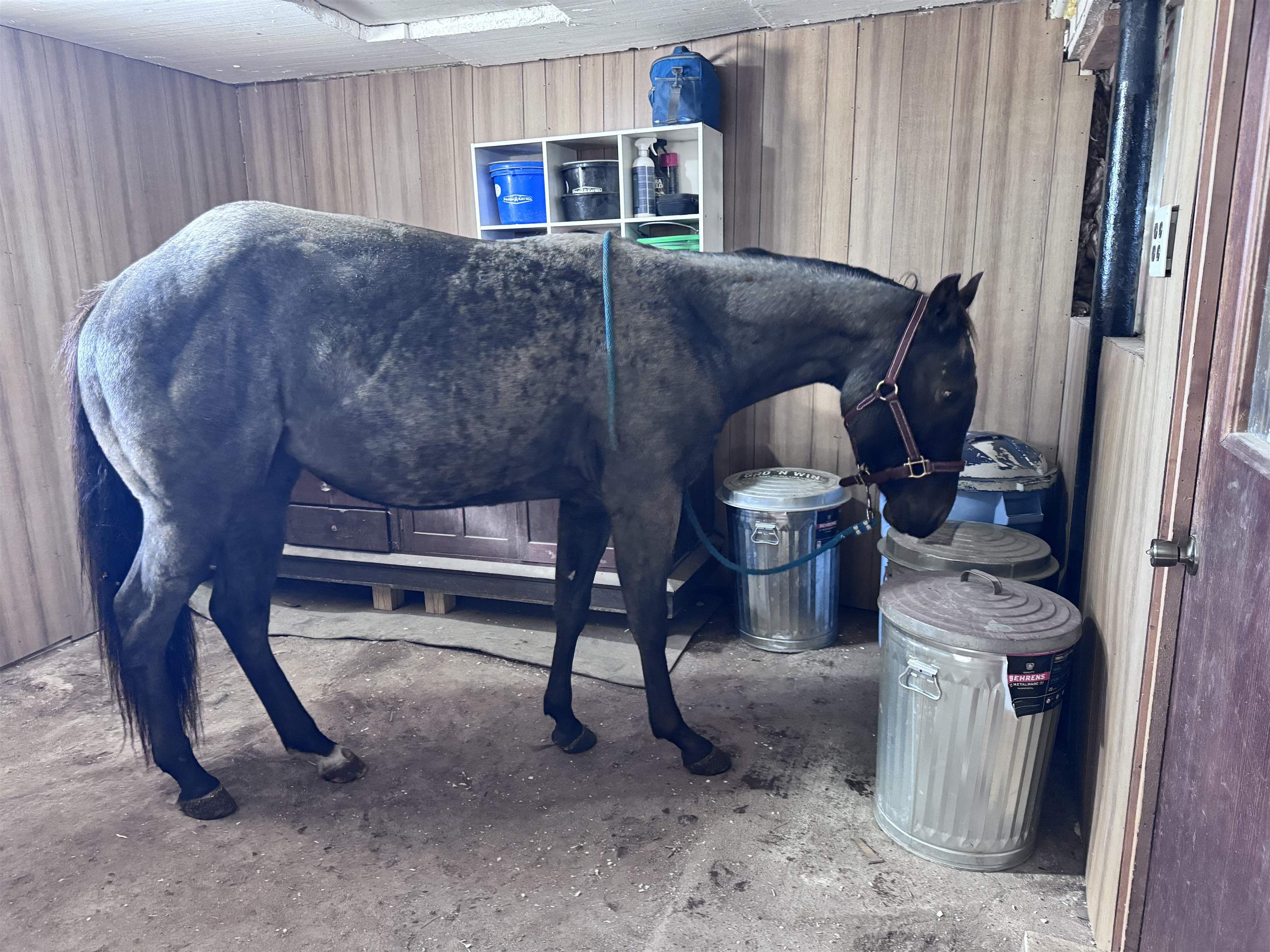 10671 STATE HIGHWAY 10, Marshfield, Wisconsin 54449, 4 Bedrooms Bedrooms, ,1 BathroomBathrooms,Residential,For Sale,10671 STATE HIGHWAY 10,22505835