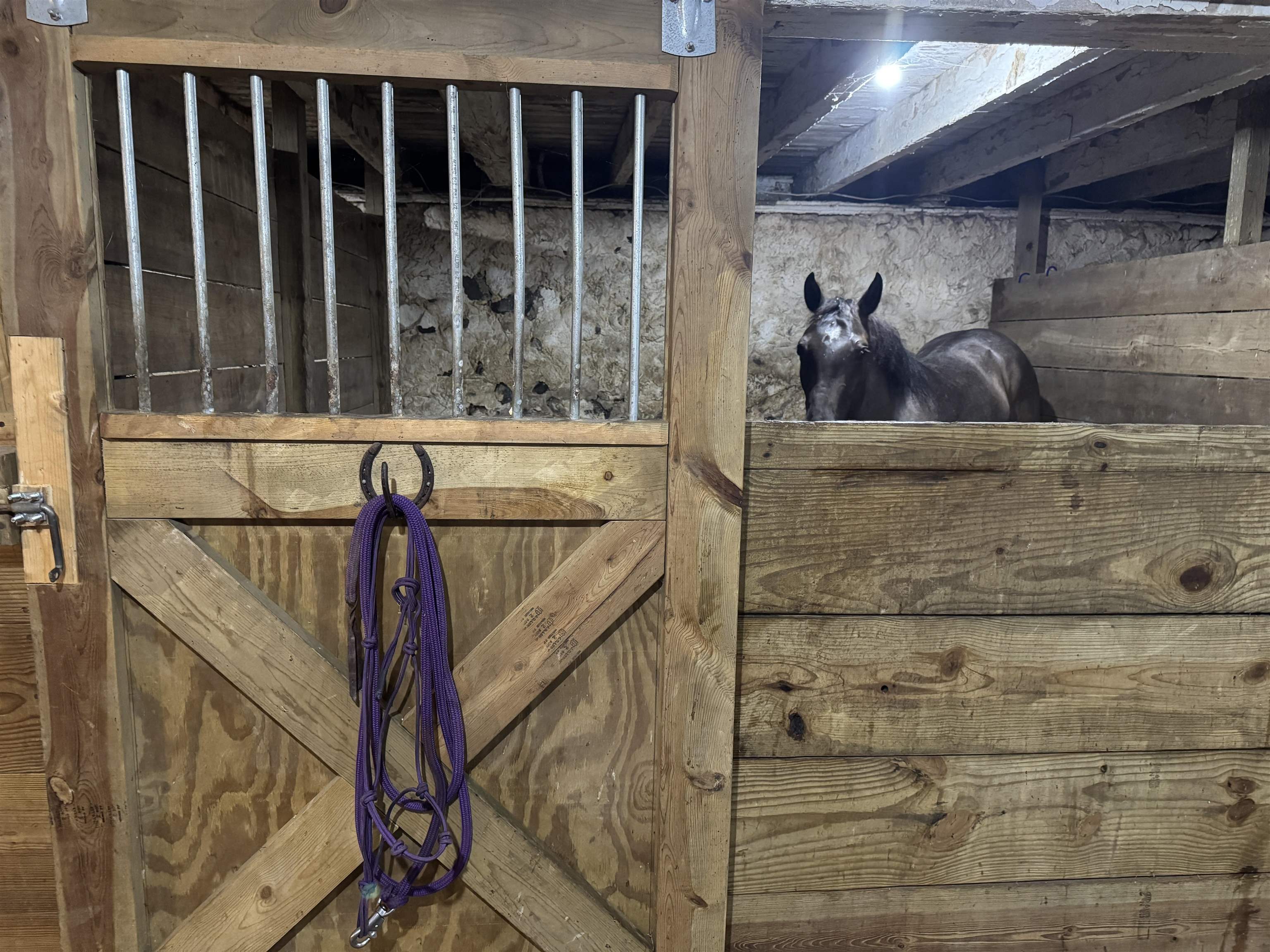 10671 STATE HIGHWAY 10, Marshfield, Wisconsin 54449, 4 Bedrooms Bedrooms, ,1 BathroomBathrooms,Residential,For Sale,10671 STATE HIGHWAY 10,22505835