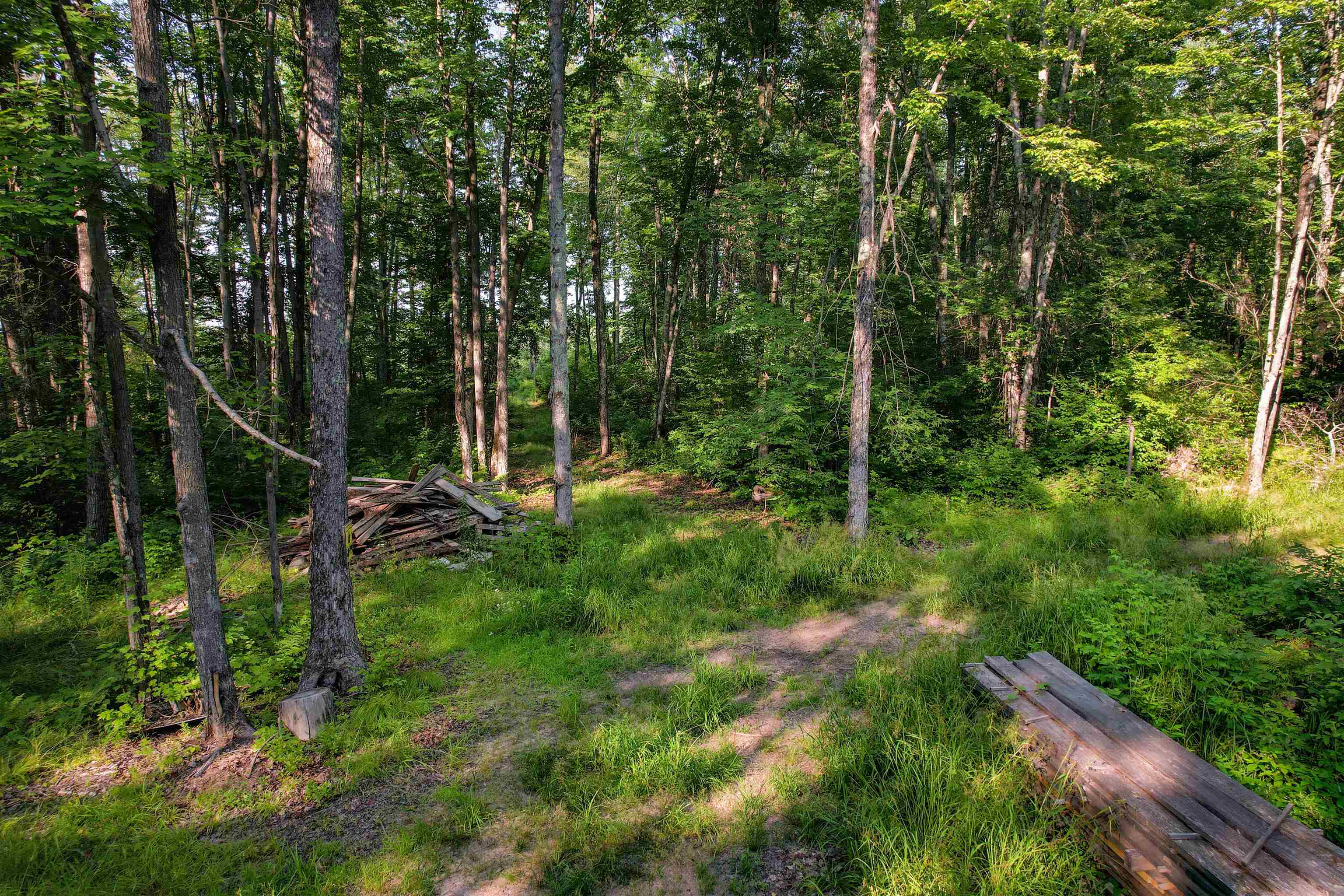 Lot 15 SCOUT TRAIL, Ojibwa, Wisconsin 54862, ,Land,For Sale,Lot 15 SCOUT TRAIL,22600078