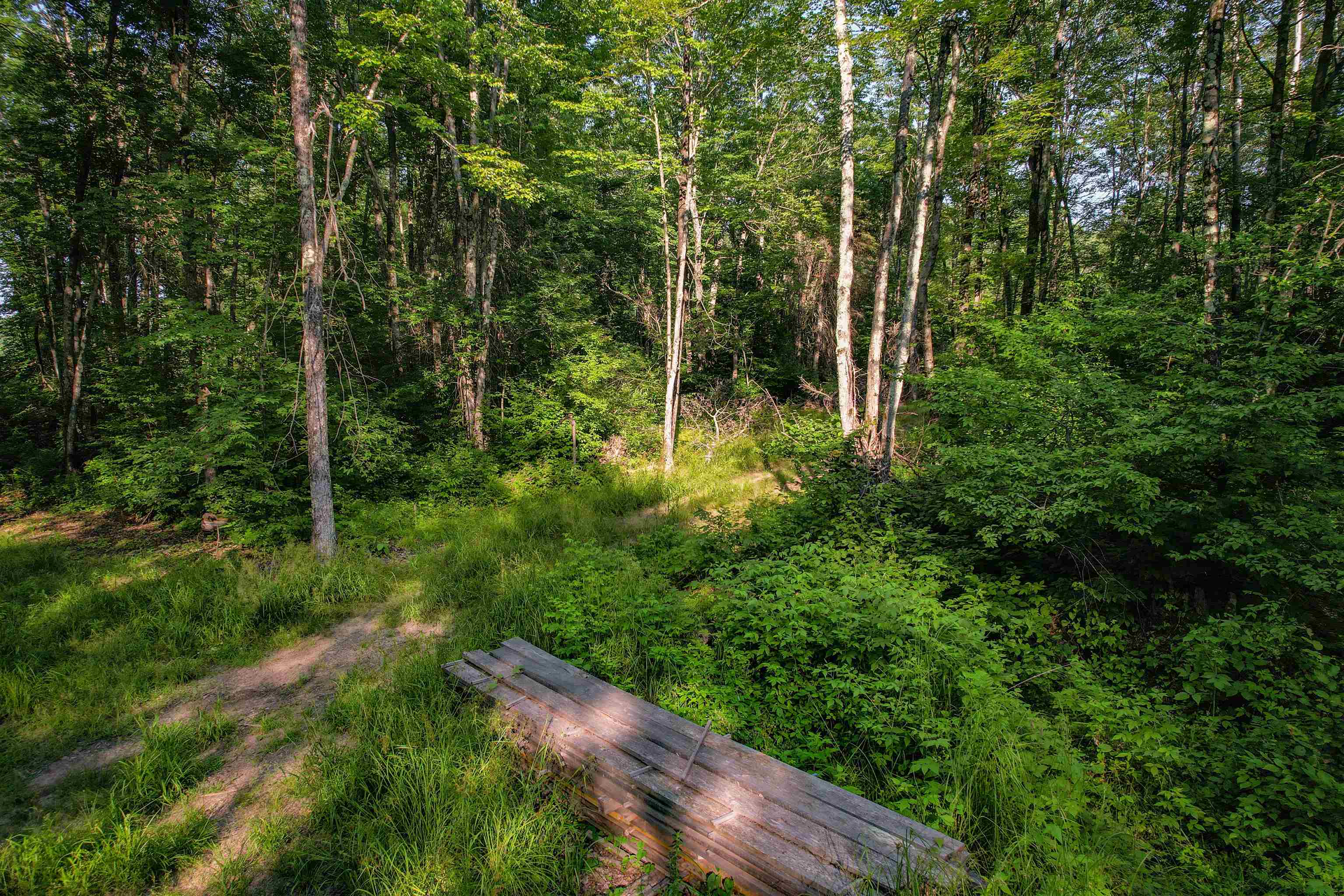 Lot 15 SCOUT TRAIL, Ojibwa, Wisconsin 54862, ,Land,For Sale,Lot 15 SCOUT TRAIL,22600078