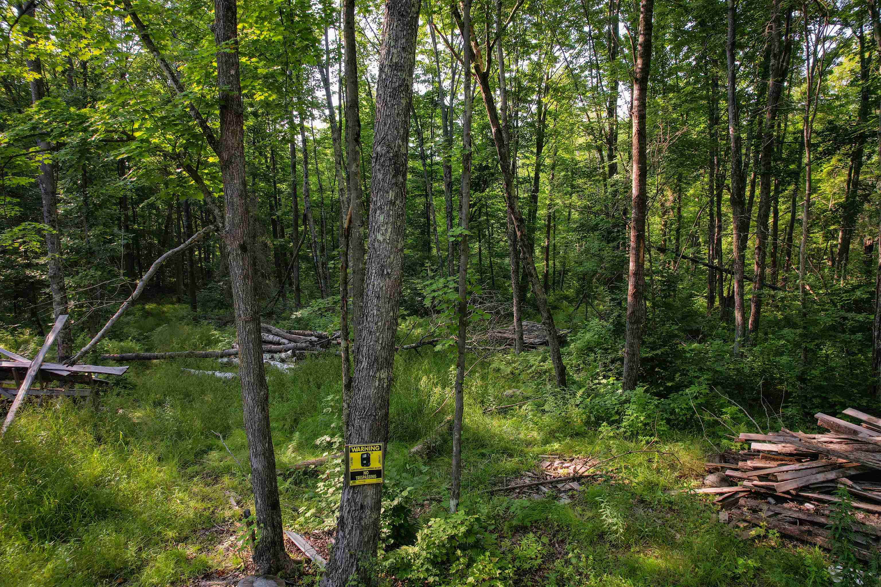 Lot 15 SCOUT TRAIL, Ojibwa, Wisconsin 54862, ,Land,For Sale,Lot 15 SCOUT TRAIL,22600078