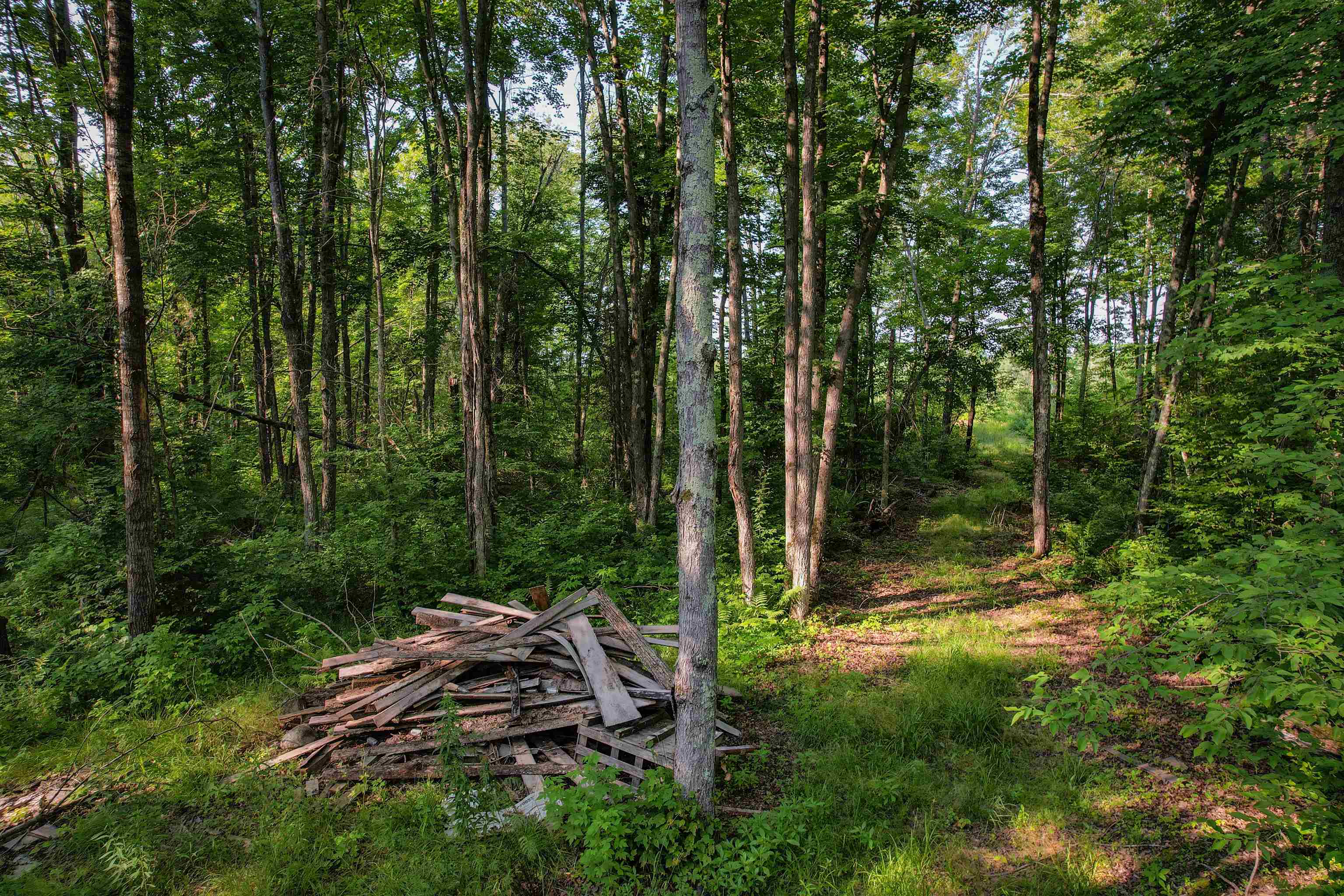 Lot 15 SCOUT TRAIL, Ojibwa, Wisconsin 54862, ,Land,For Sale,Lot 15 SCOUT TRAIL,22600078