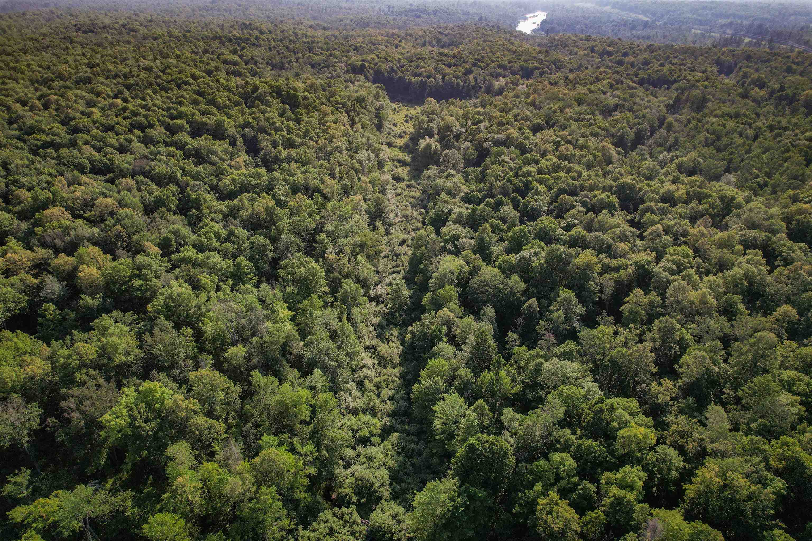 Lot 15 SCOUT TRAIL, Ojibwa, Wisconsin 54862, ,Land,For Sale,Lot 15 SCOUT TRAIL,22600078