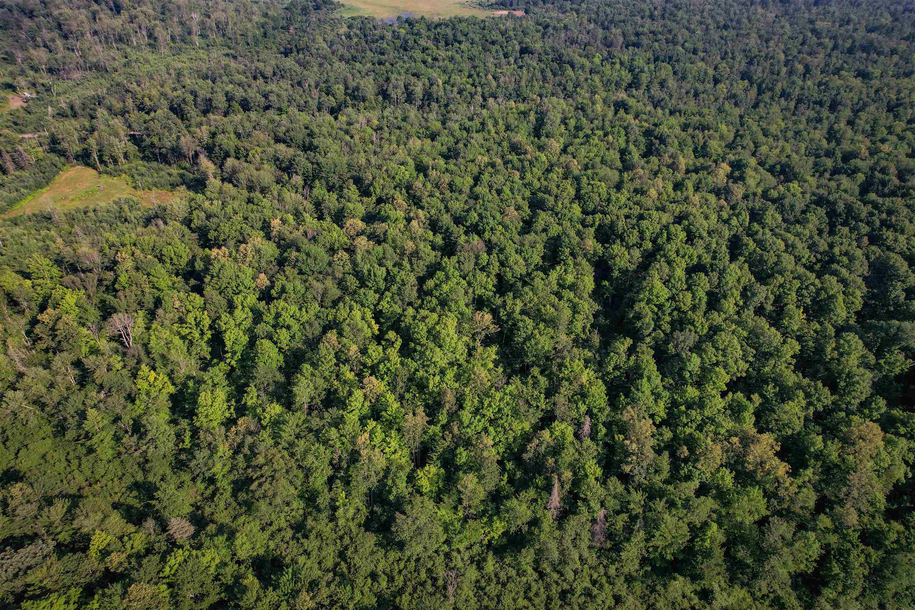 Lot 15 SCOUT TRAIL, Ojibwa, Wisconsin 54862, ,Land,For Sale,Lot 15 SCOUT TRAIL,22600078