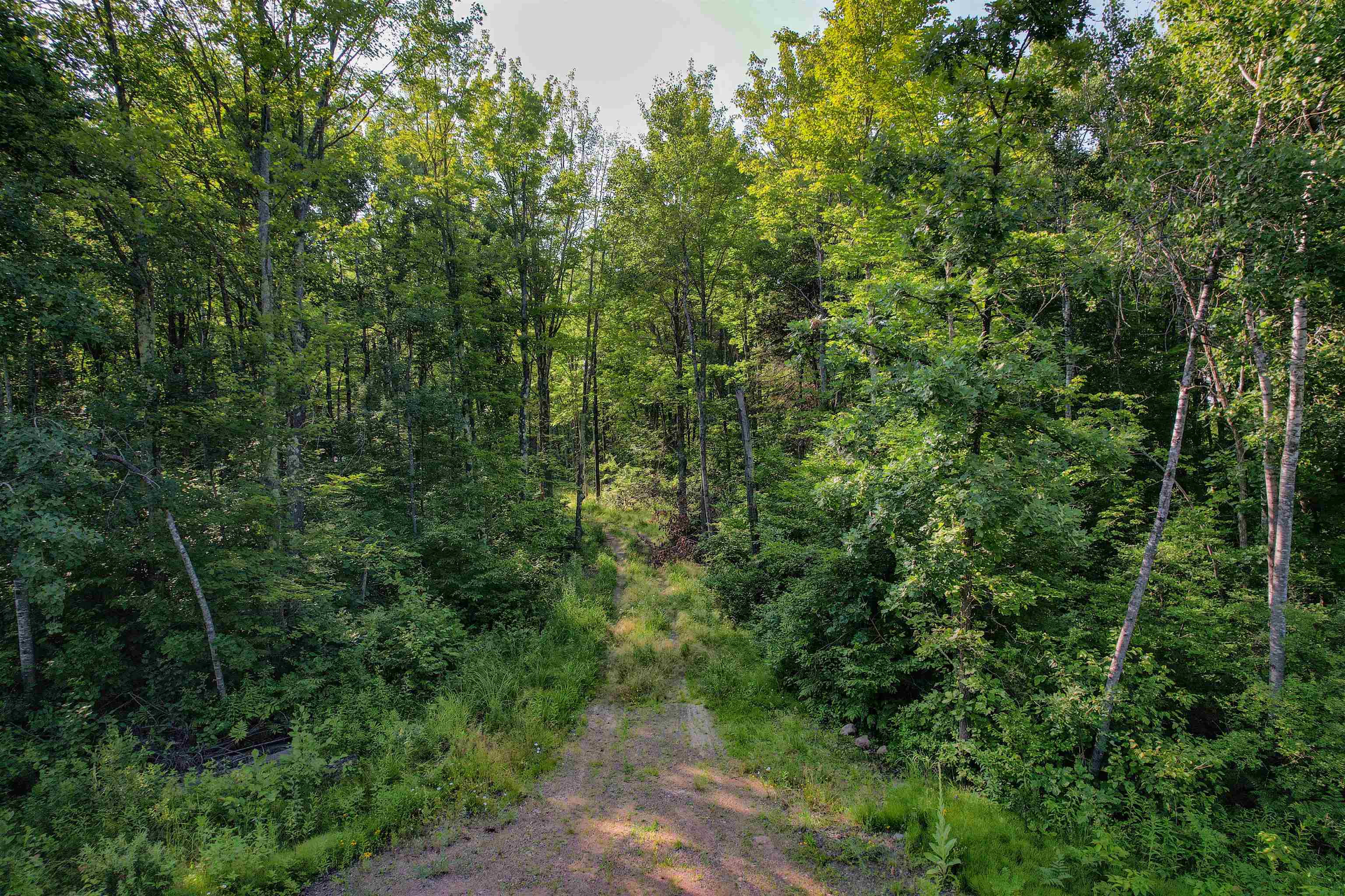 Lot 15 SCOUT TRAIL, Ojibwa, Wisconsin 54862, ,Land,For Sale,Lot 15 SCOUT TRAIL,22600078