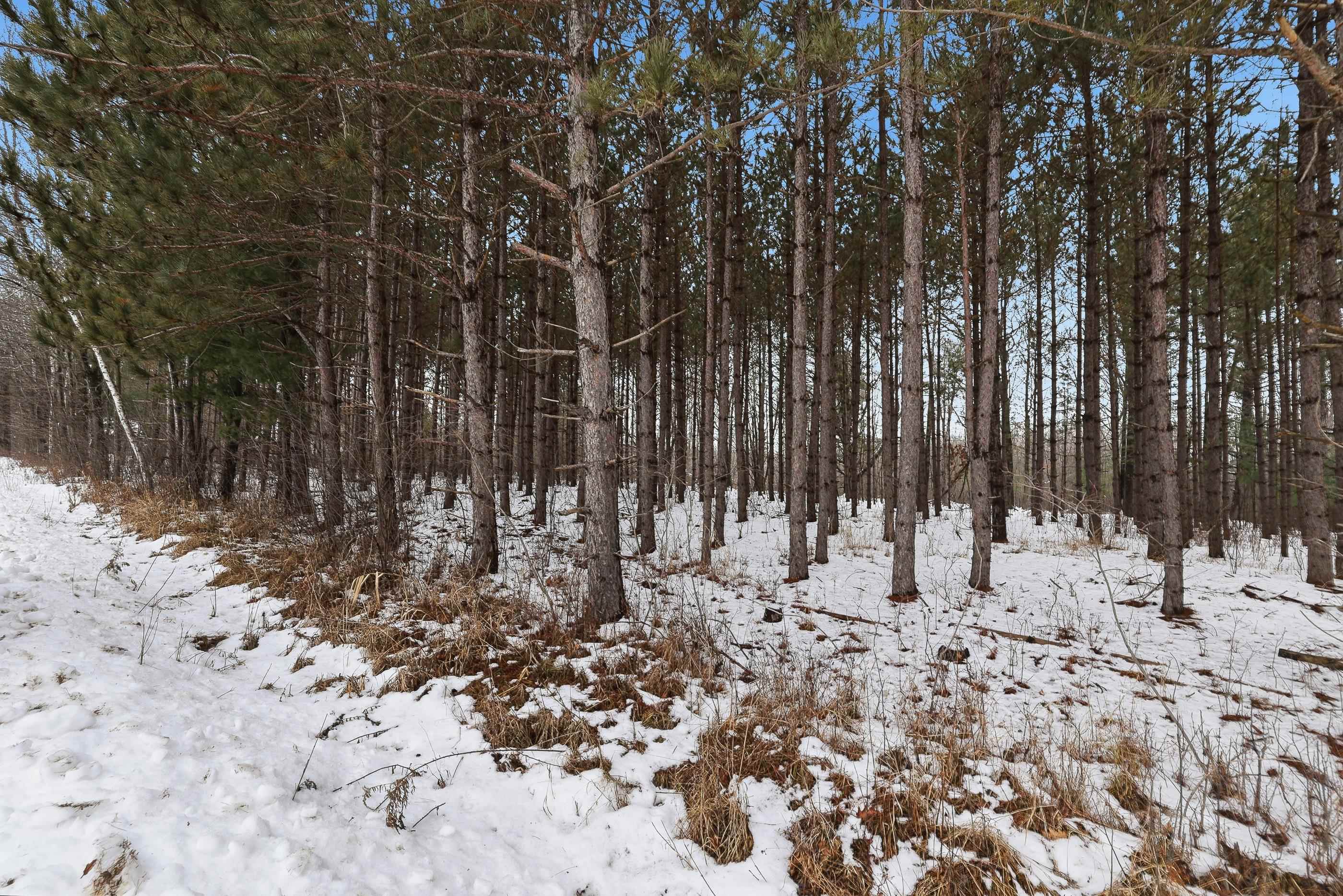 10 acres LINWOOD DRIVE, Stevens Point, Wisconsin 54481, ,Land,For Sale,10 acres LINWOOD DRIVE,22600120