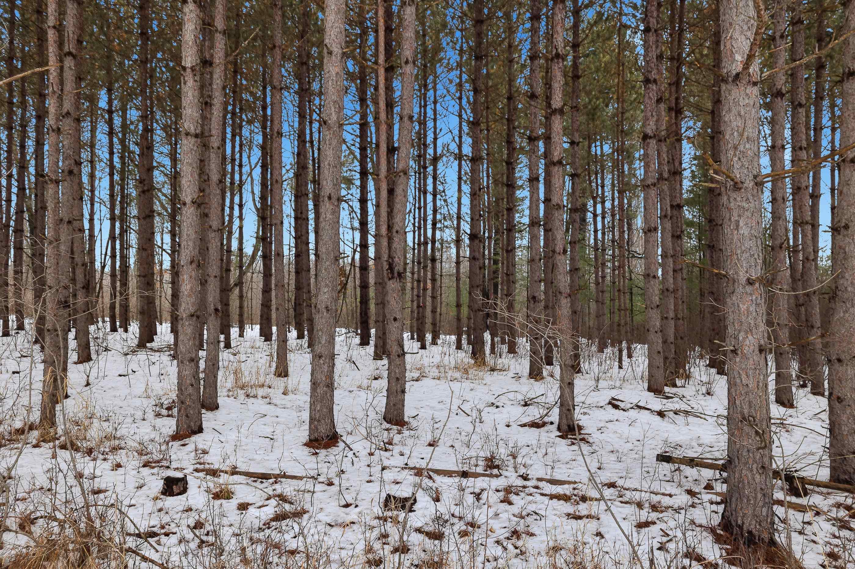 10 acres LINWOOD DRIVE, Stevens Point, Wisconsin 54481, ,Land,For Sale,10 acres LINWOOD DRIVE,22600120
