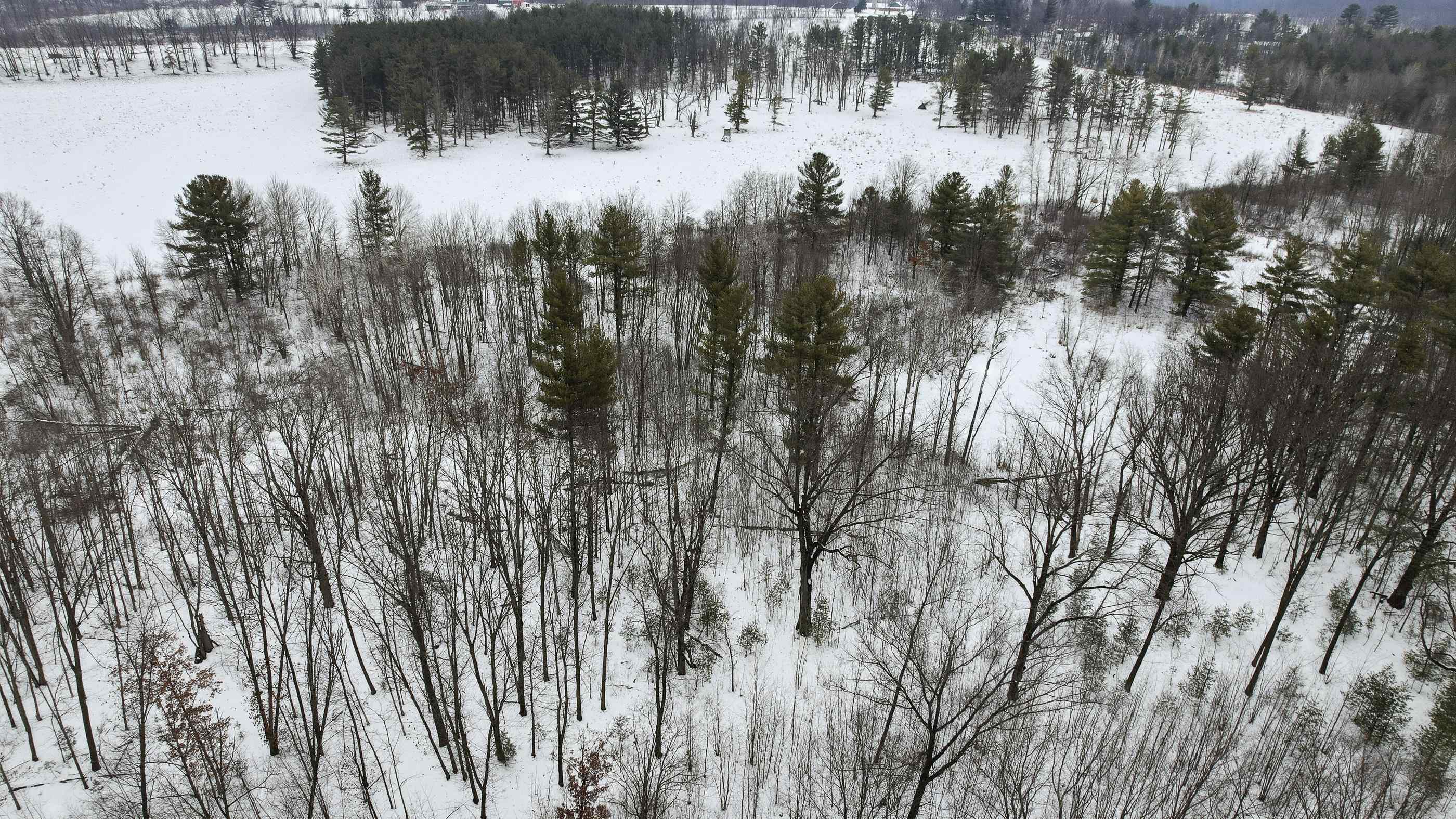 10 acres LINWOOD DRIVE, Stevens Point, Wisconsin 54481, ,Land,For Sale,10 acres LINWOOD DRIVE,22600120