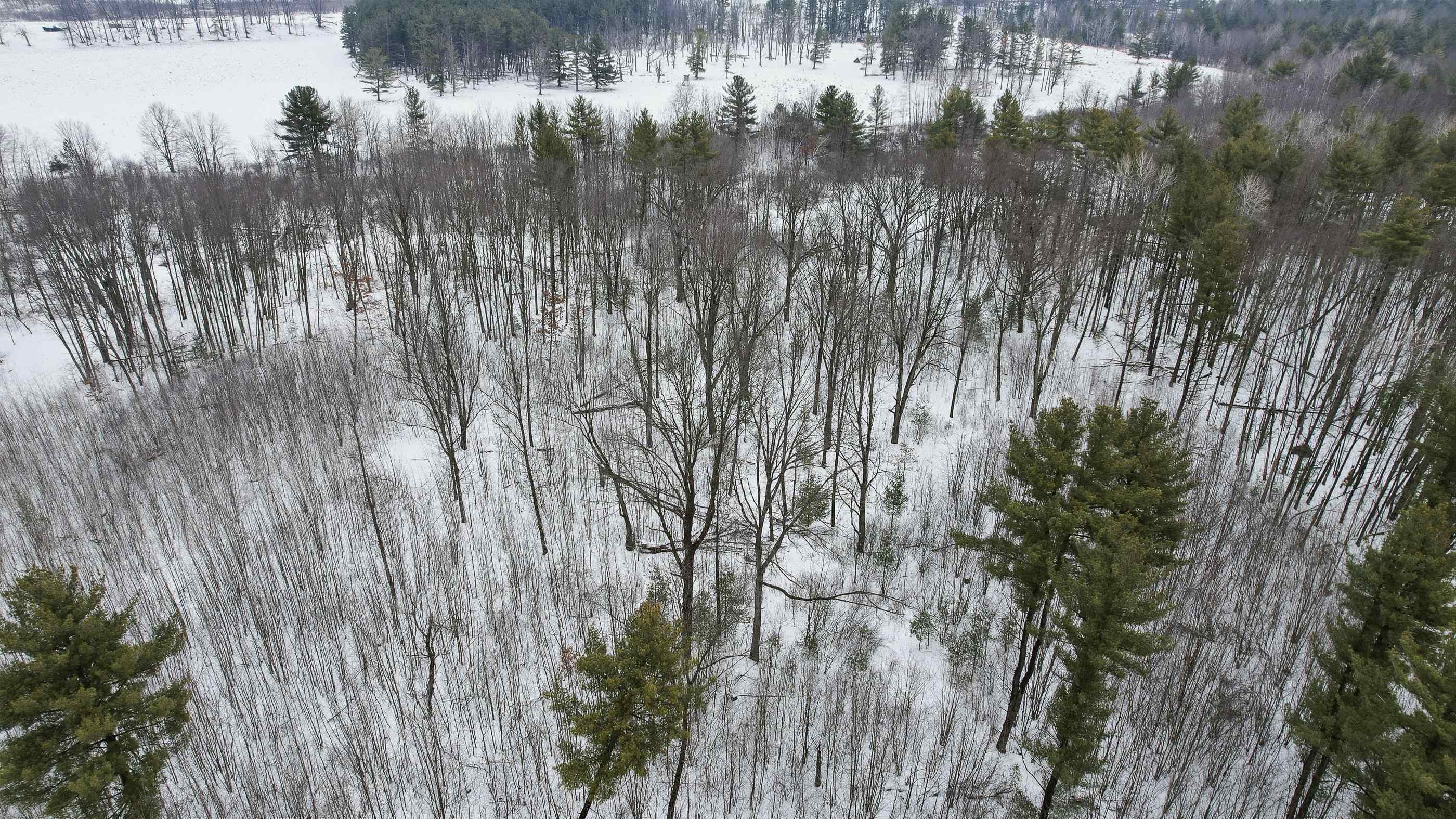 10 acres LINWOOD DRIVE, Stevens Point, Wisconsin 54481, ,Land,For Sale,10 acres LINWOOD DRIVE,22600120