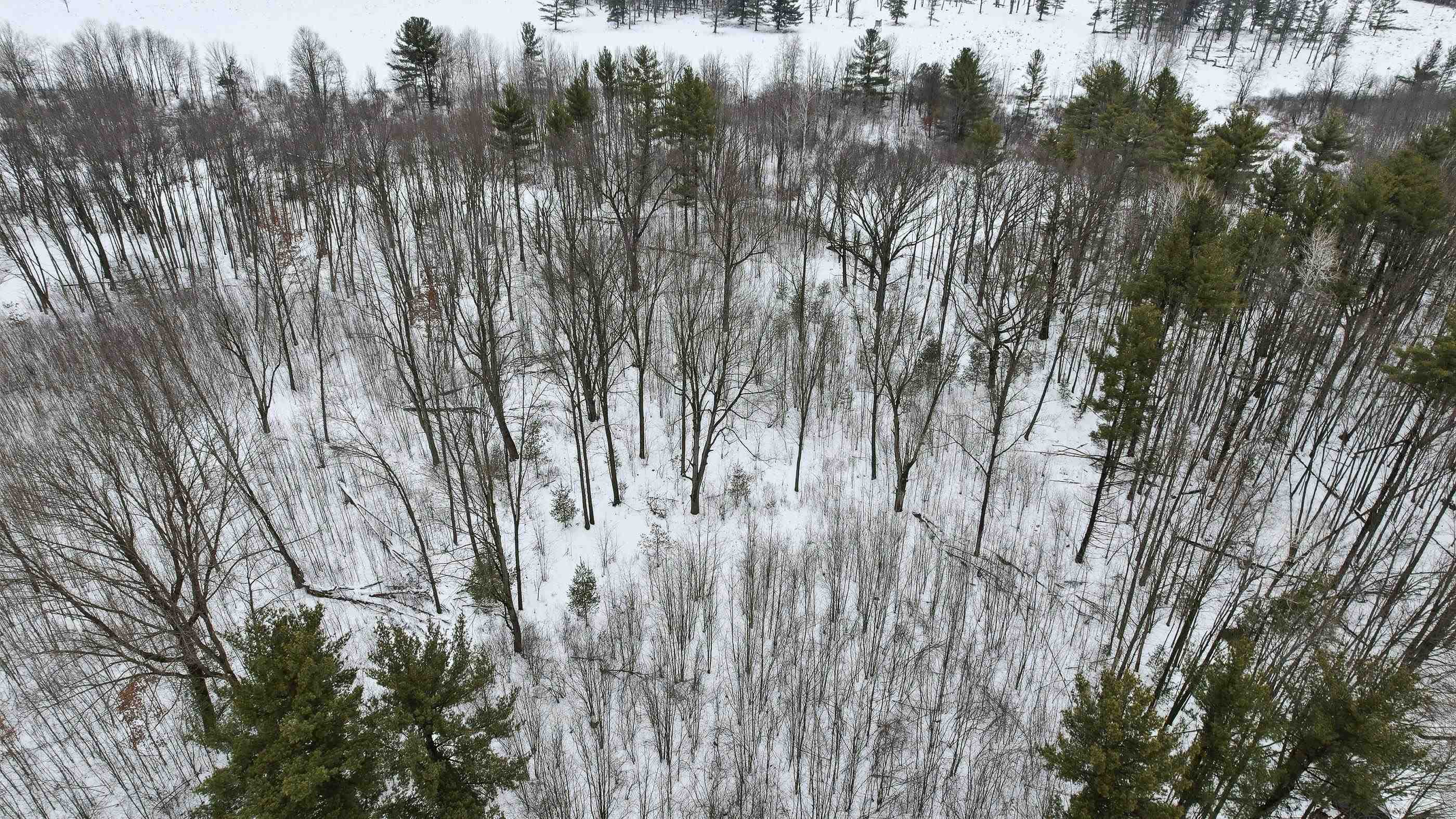 10 acres LINWOOD DRIVE, Stevens Point, Wisconsin 54481, ,Land,For Sale,10 acres LINWOOD DRIVE,22600120