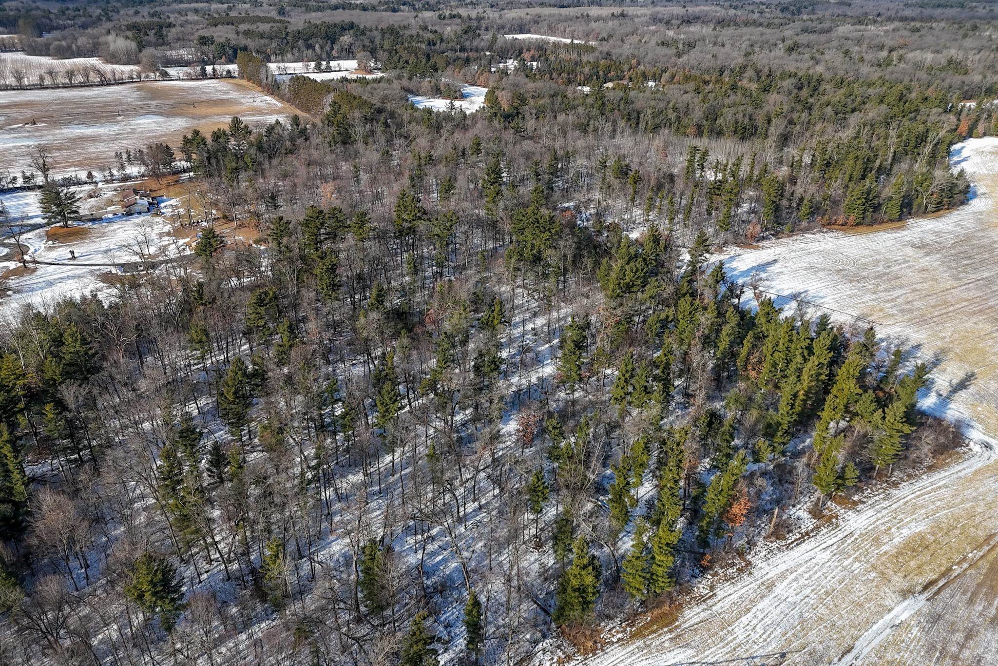 12.6 Acres CZECH AVENUE, Friendship, Wisconsin 53934, ,Land,For Sale,12.6 Acres CZECH AVENUE,22600124