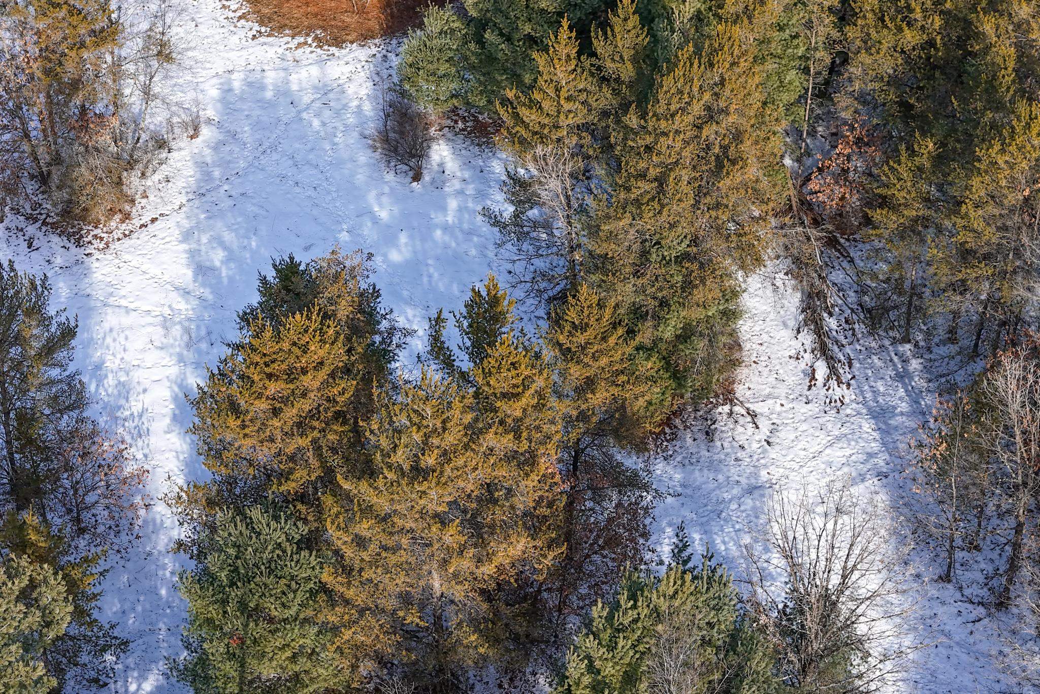 12.6 Acres CZECH AVENUE, Friendship, Wisconsin 53934, ,Land,For Sale,12.6 Acres CZECH AVENUE,22600124