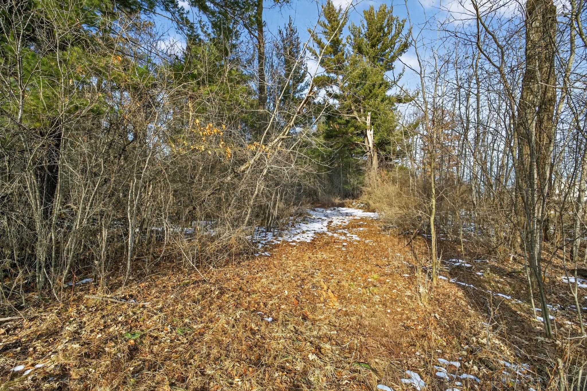 12.6 Acres CZECH AVENUE, Friendship, Wisconsin 53934, ,Land,For Sale,12.6 Acres CZECH AVENUE,22600124