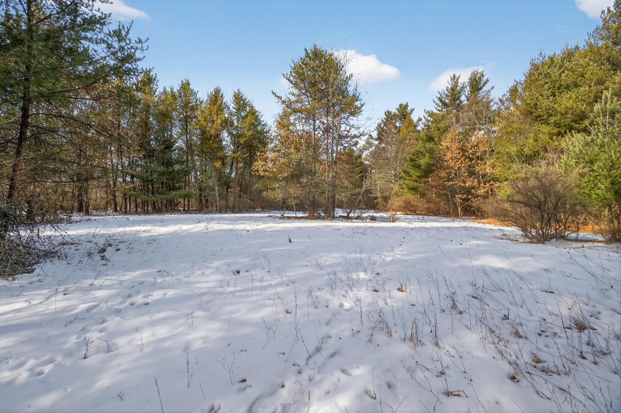 12.6 Acres CZECH AVENUE, Friendship, Wisconsin 53934, ,Land,For Sale,12.6 Acres CZECH AVENUE,22600124