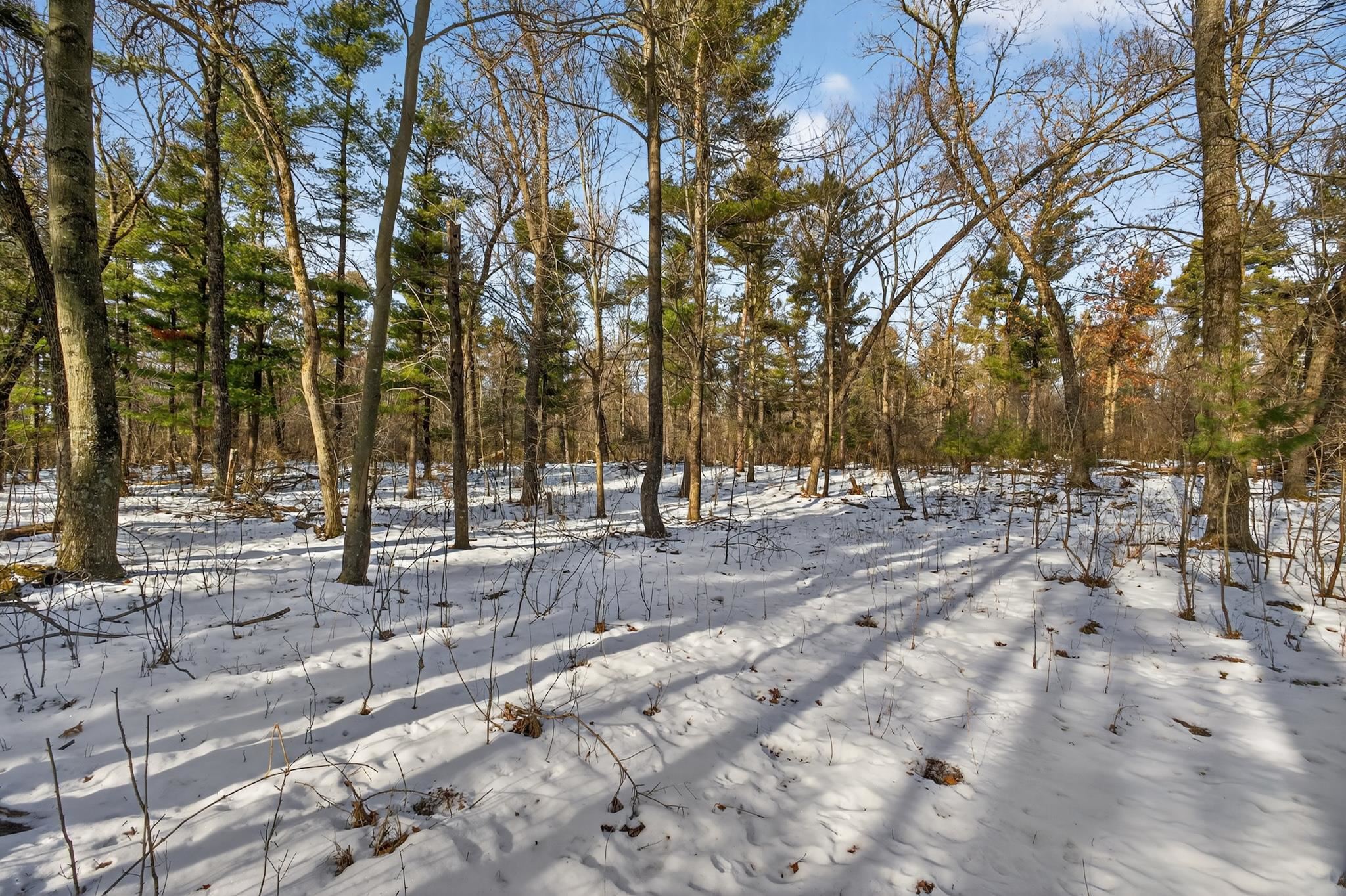 12.6 Acres CZECH AVENUE, Friendship, Wisconsin 53934, ,Land,For Sale,12.6 Acres CZECH AVENUE,22600124