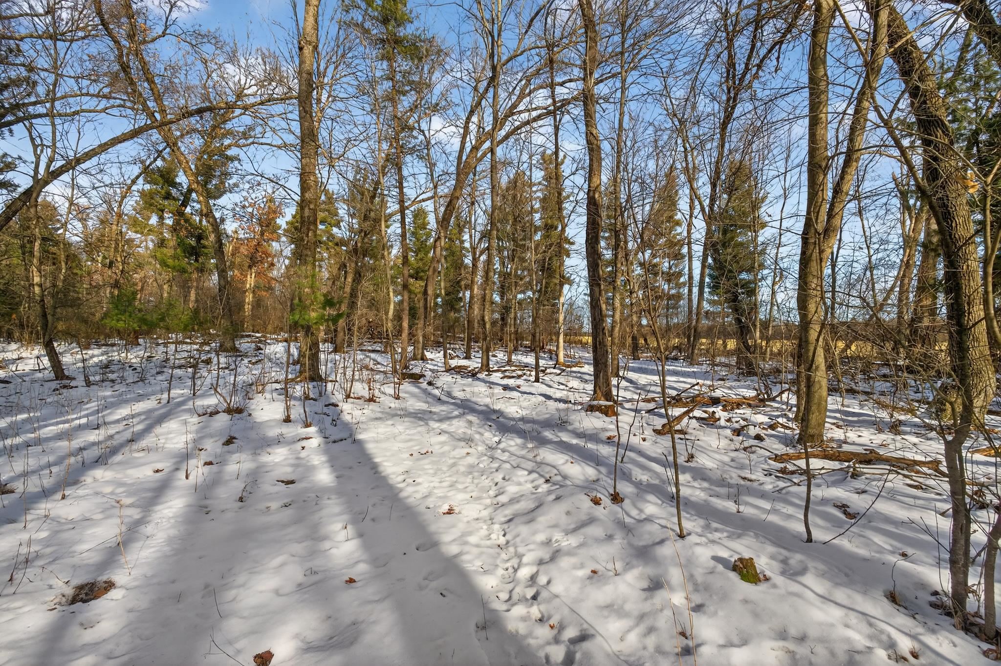 12.6 Acres CZECH AVENUE, Friendship, Wisconsin 53934, ,Land,For Sale,12.6 Acres CZECH AVENUE,22600124