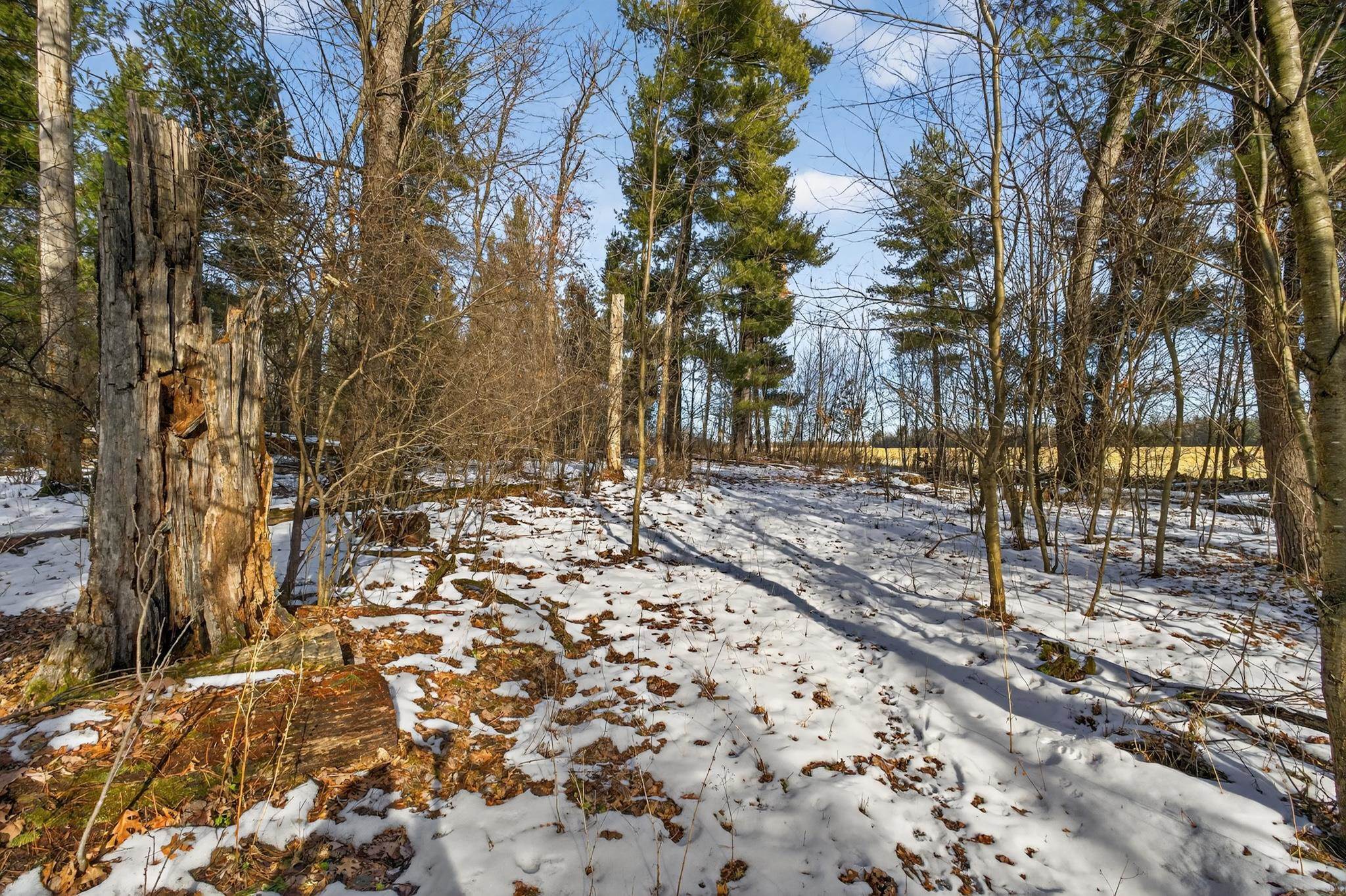 12.6 Acres CZECH AVENUE, Friendship, Wisconsin 53934, ,Land,For Sale,12.6 Acres CZECH AVENUE,22600124