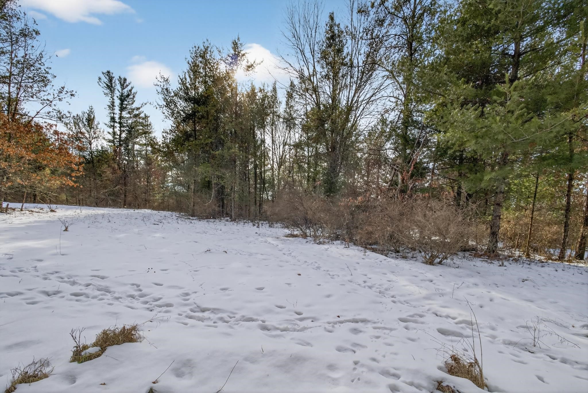 12.6 Acres CZECH AVENUE, Friendship, Wisconsin 53934, ,Land,For Sale,12.6 Acres CZECH AVENUE,22600124