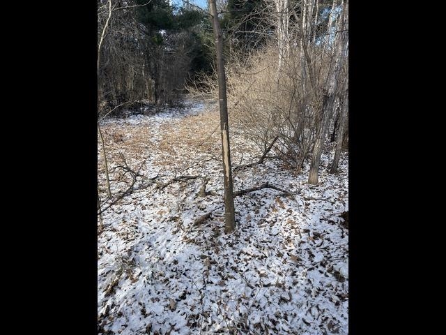 12.6 Acres CZECH AVENUE, Friendship, Wisconsin 53934, ,Land,For Sale,12.6 Acres CZECH AVENUE,22600124