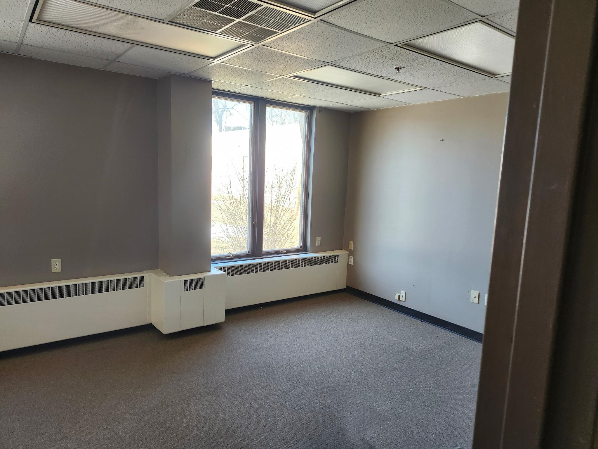 165 S CHET KRAUSE DRIVE, Iola, Wisconsin 54945, 1 Bedroom Bedrooms, 4 Rooms Rooms,1 BathroomBathrooms,Multi-family,For Sale,165 S CHET KRAUSE DRIVE,22600132