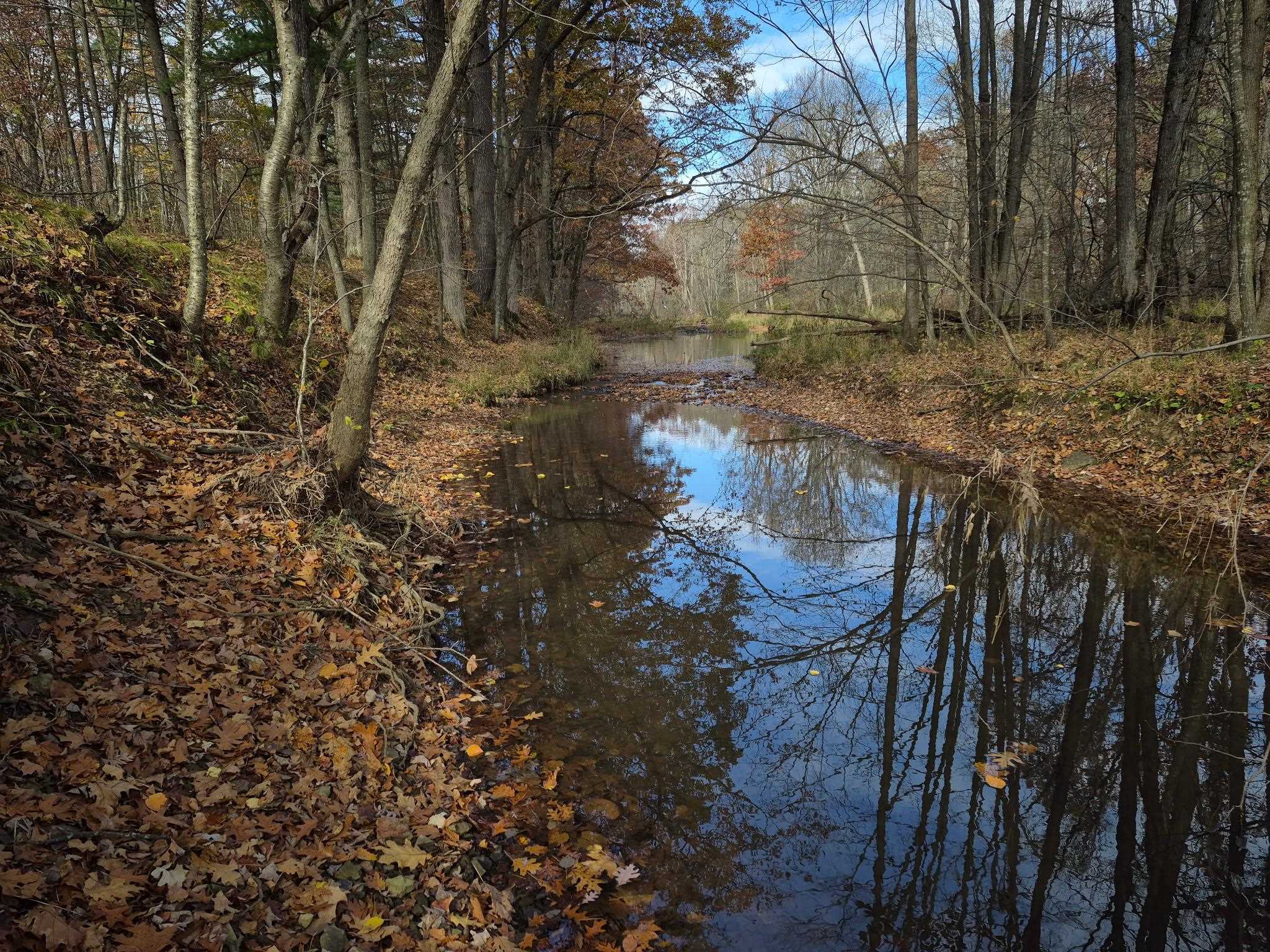 5106 ARPIN HANSEN ROAD, Arpin, Wisconsin 54410, 3 Bedrooms Bedrooms, ,2 BathroomsBathrooms,Residential,For Sale,5106 ARPIN HANSEN ROAD,22600133